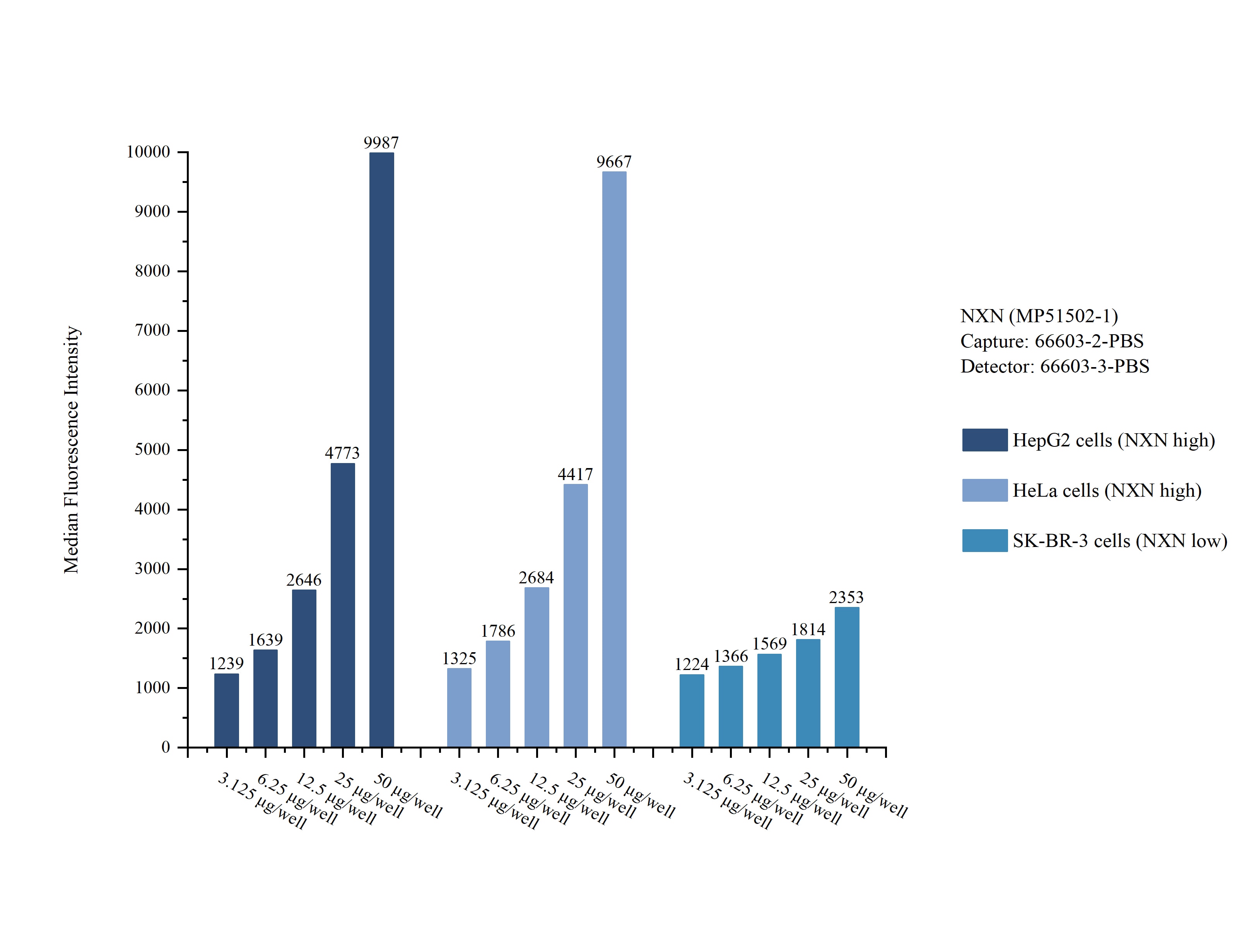 Cytometric bead array sample test of MP51502-1