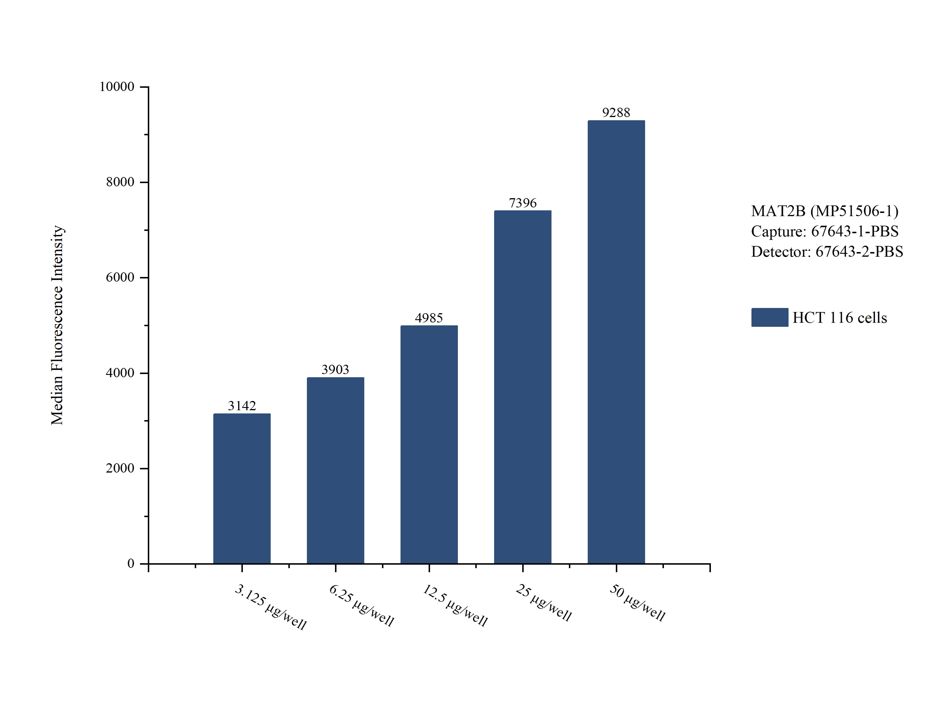 Cytometric bead array sample test of MP51506-1, MAT2B Monoclonal Matched Antibody Pair, PBS Only. Capture antibody: 67643-1-PBS. Detection antibody: 67643-2-PBS. Cytometric bead array sample test of MP51506-1