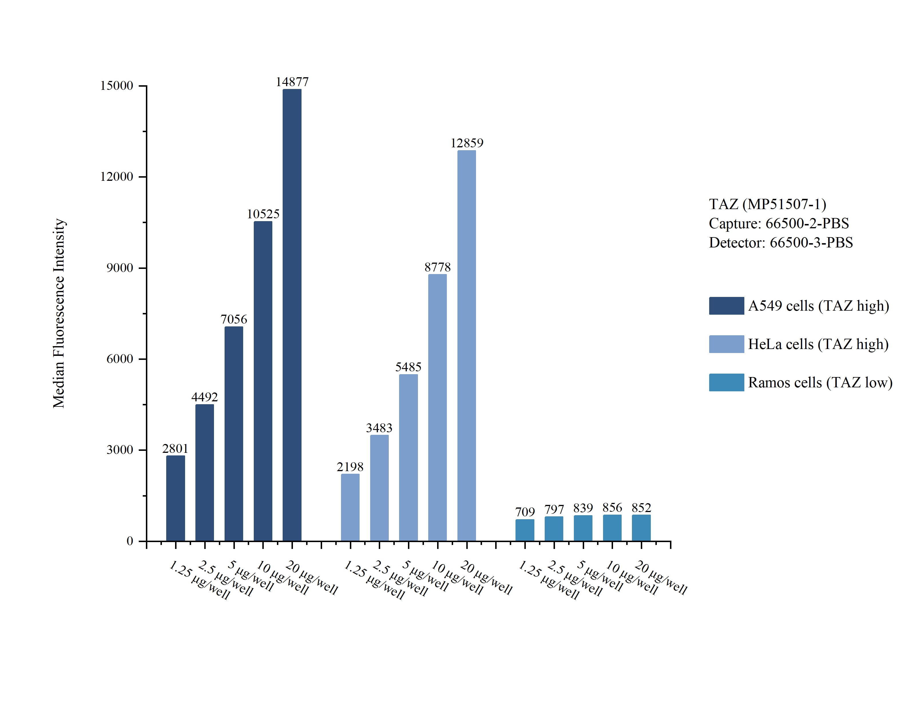 Cytometric bead array sample test of MP51507-1, TAZ Monoclonal Matched Antibody Pair, PBS Only. Capture antibody: 66500-2-PBS. Detection antibody: 66500-3-PBS. 