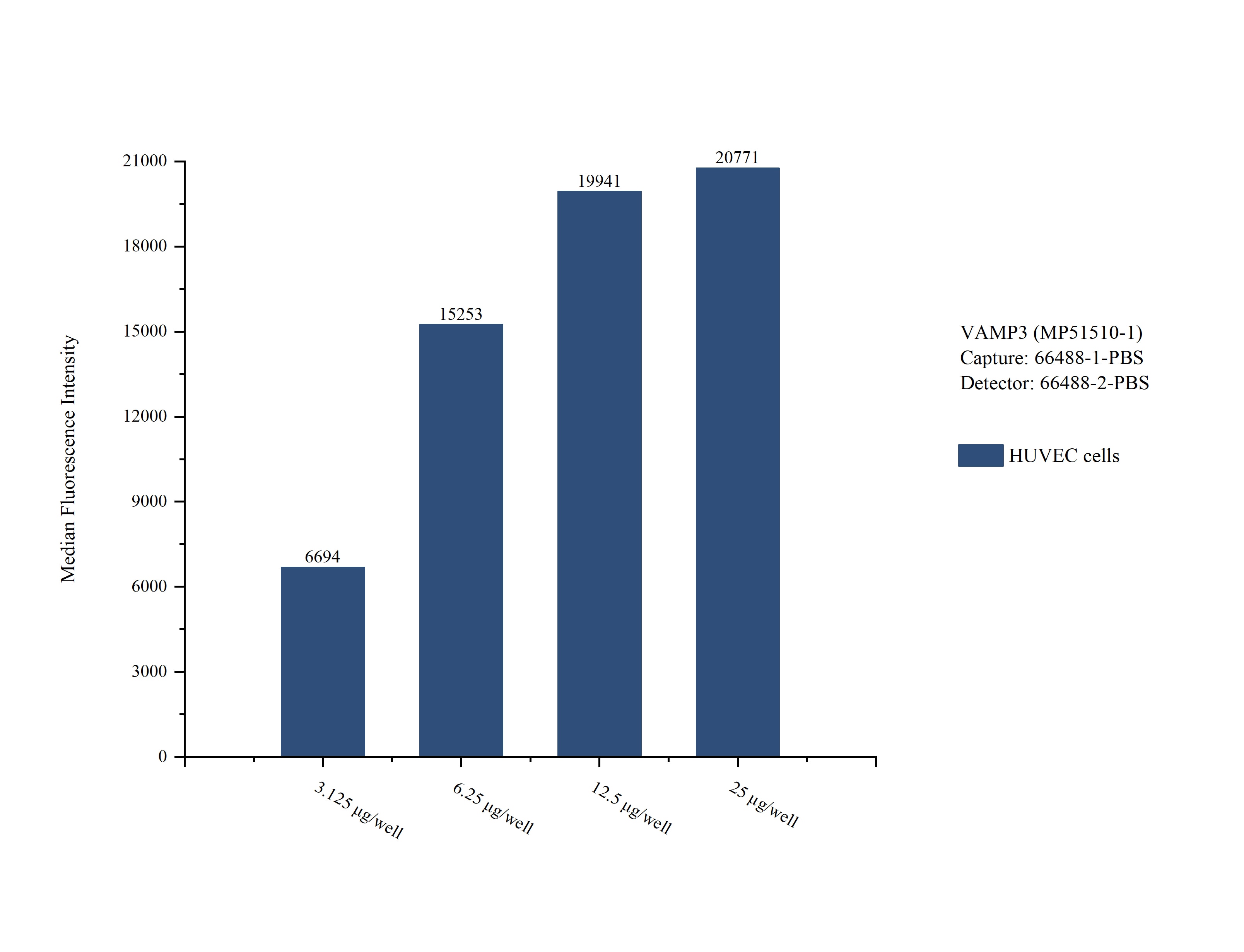 Cytometric bead array sample test of MP51510-1, VAMP3 Monoclonal Matched Antibody Pair, PBS Only. Capture antibody: 66488-1-PBS. Detection antibody: 66488-2-PBS. Cytometric bead array sample test of MP51510-1