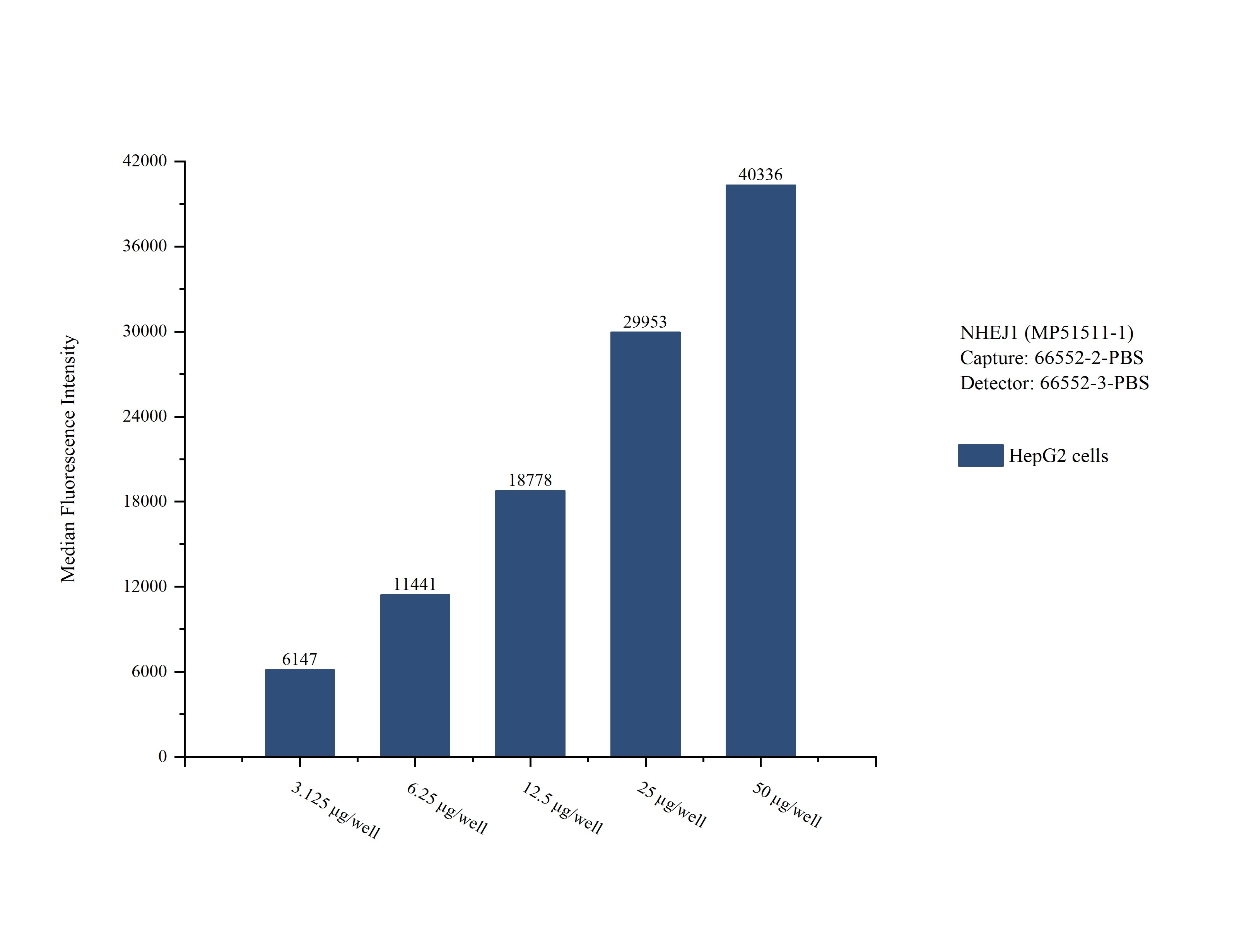 Cytometric bead array sample test of MP51511-1, NHEJ1 Monoclonal Matched Antibody Pair, PBS Only. Capture antibody: 66552-2-PBS. Detection antibody: 66552-3-PBS. Cytometric bead array sample test of MP51511-1
