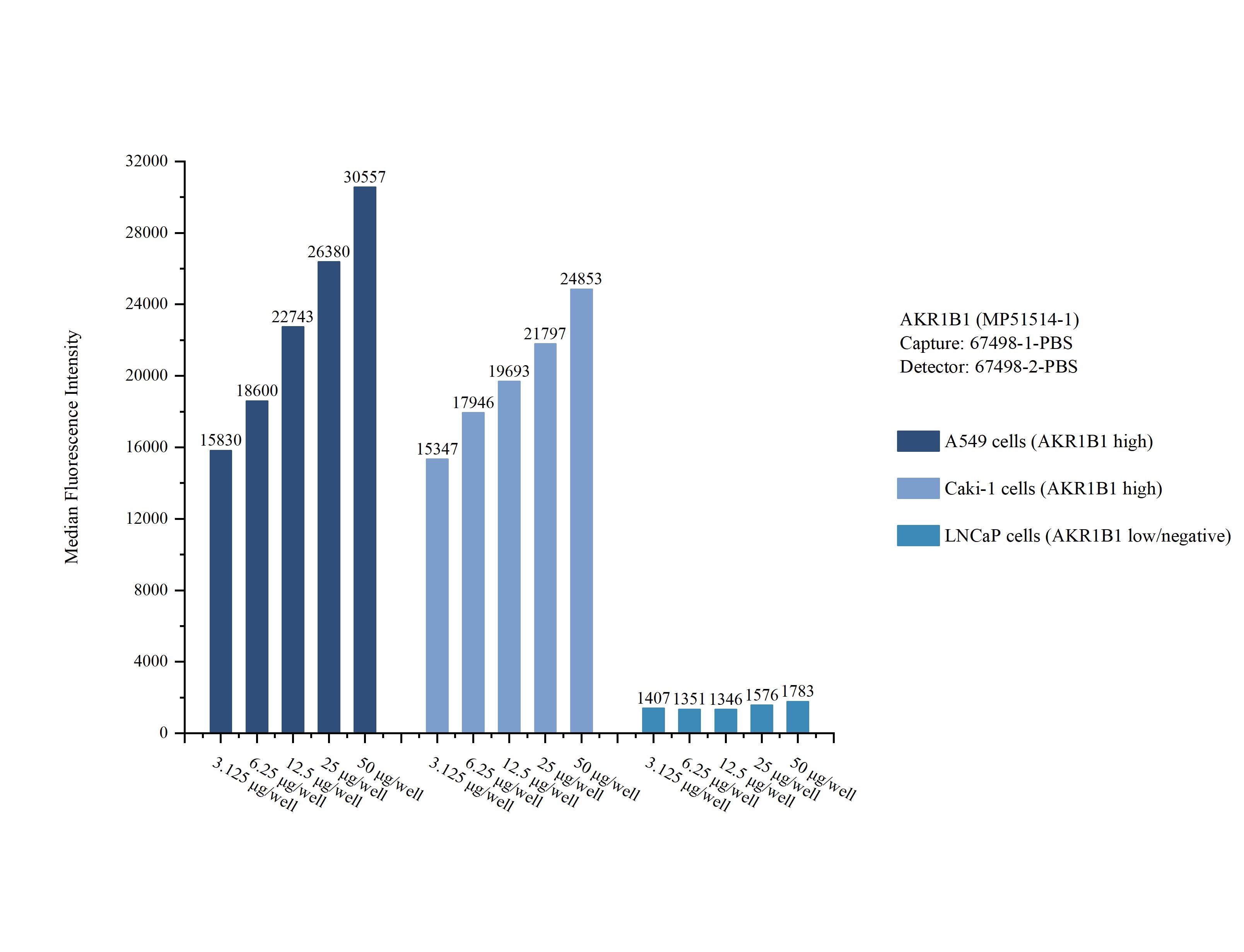 Cytometric bead array sample test of MP51514-1, AKR1B1 Monoclonal Matched Antibody Pair, PBS Only. Capture antibody: 67498-1-PBS. Detection antibody: 67498-2-PBS. Cytometric bead array sample test of MP51514-1