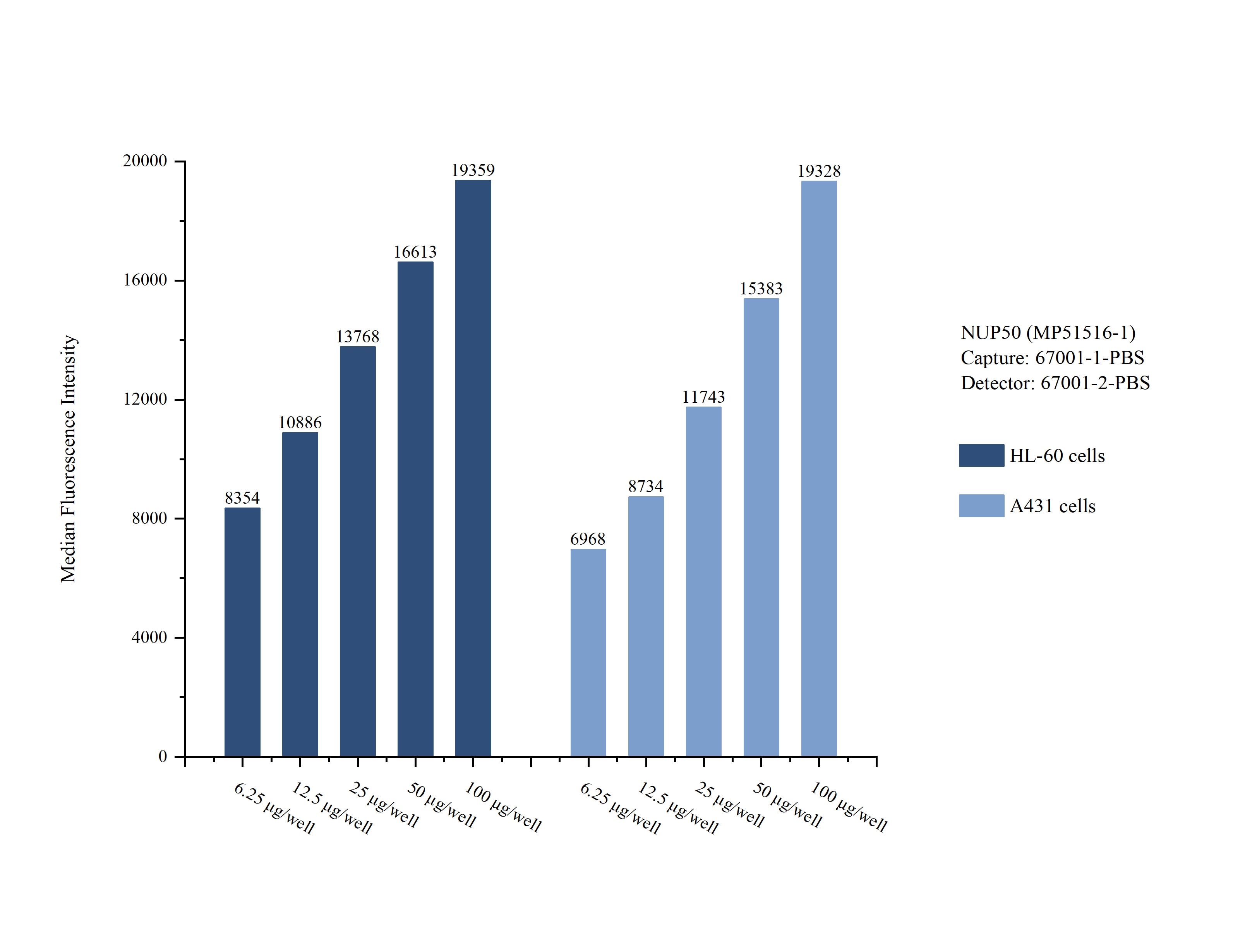 Cytometric bead array sample test of MP51516-1, NUP50 Monoclonal Matched Antibody Pair, PBS Only. Capture antibody: 67001-1-PBS. Detection antibody: 67001-2-PBS. Cytometric bead array sample test of MP51516-1