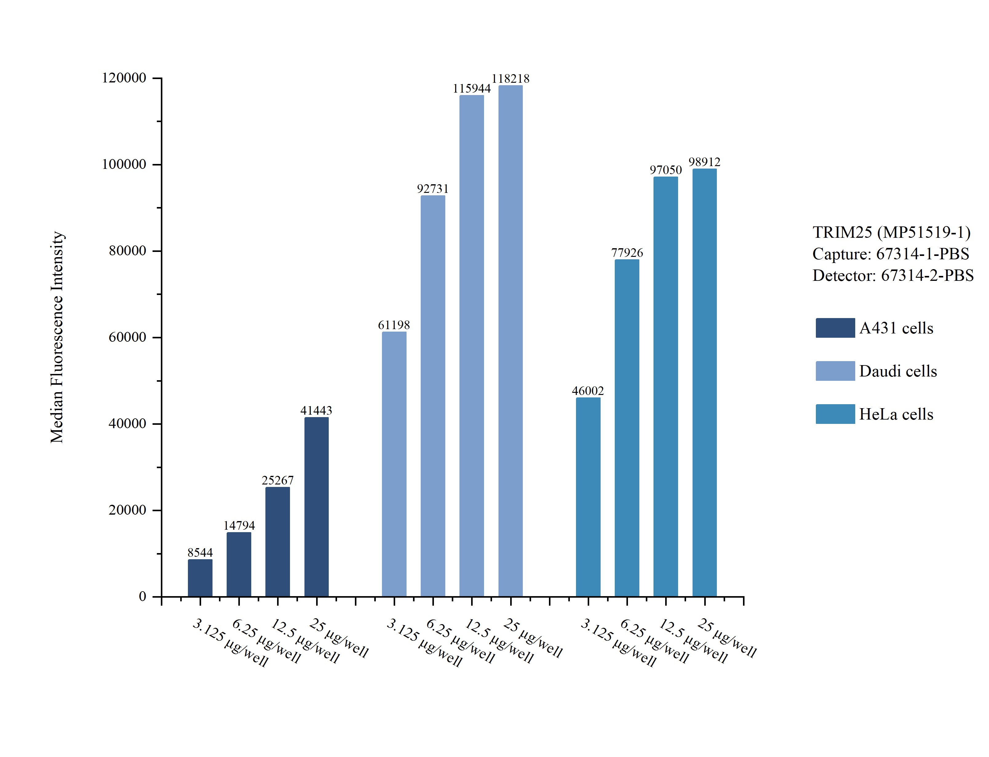 Cytometric bead array sample test of MP51519-1, TRIM25 Monoclonal Matched Antibody Pair, PBS Only. Capture antibody: 67314-1-PBS. Detection antibody: 67314-2-PBS. Cytometric bead array sample test of MP51519-1