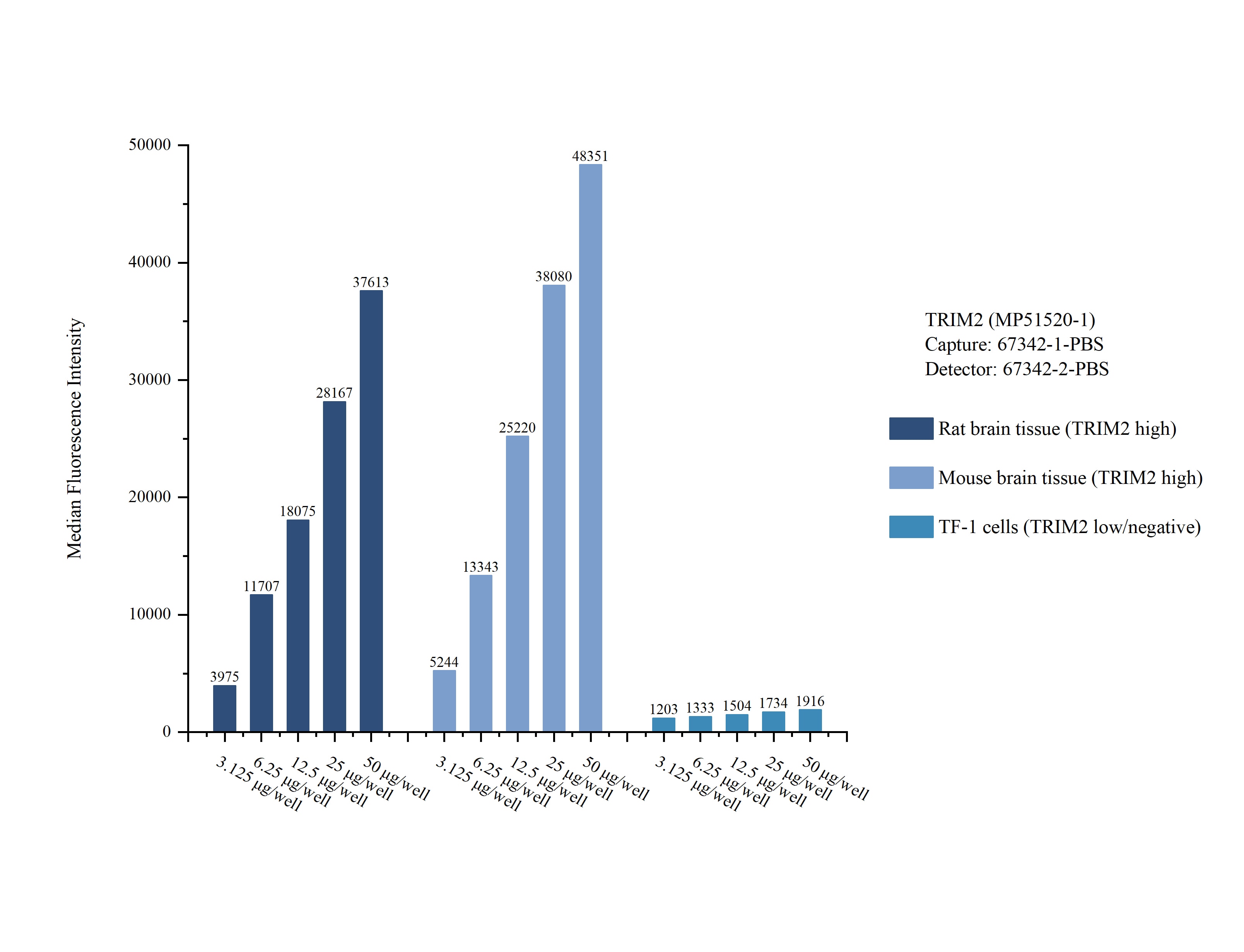 Cytometric bead array sample test of MP51520-1, TRIM2 Monoclonal Matched Antibody Pair, PBS Only. Capture antibody: 67342-1-PBS. Detection antibody: 67342-2-PBS. Cytometric bead array sample test of MP51520-1