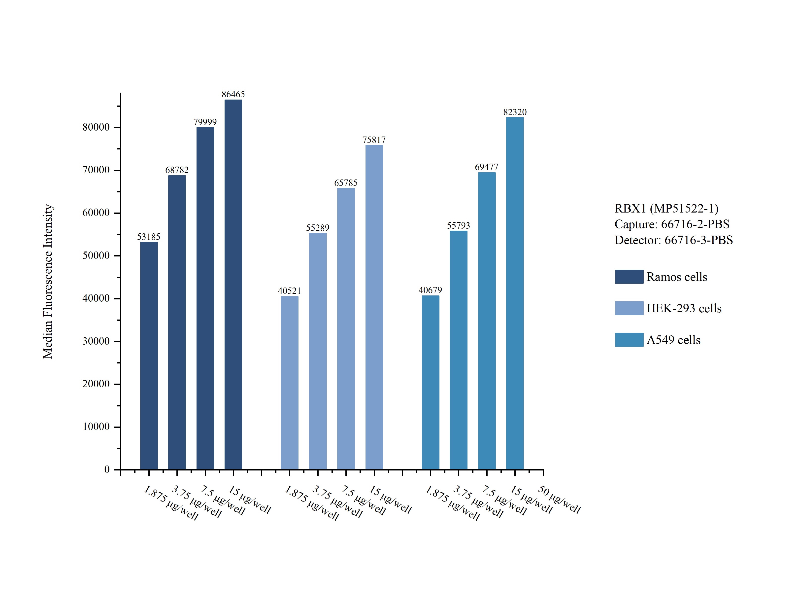 Cytometric bead array sample test of MP51522-1, RBX1 Monoclonal Matched Antibody Pair, PBS Only. Capture antibody: 66716-2-PBS. Detection antibody: 66716-3-PBS. Cytometric bead array sample test of MP51522-1, RBX1 Monoclonal Matched Antibody Pair, PBS Only. Capture antibody: 66716-2-PBS. Detection antibody: 66716-3-PBS.