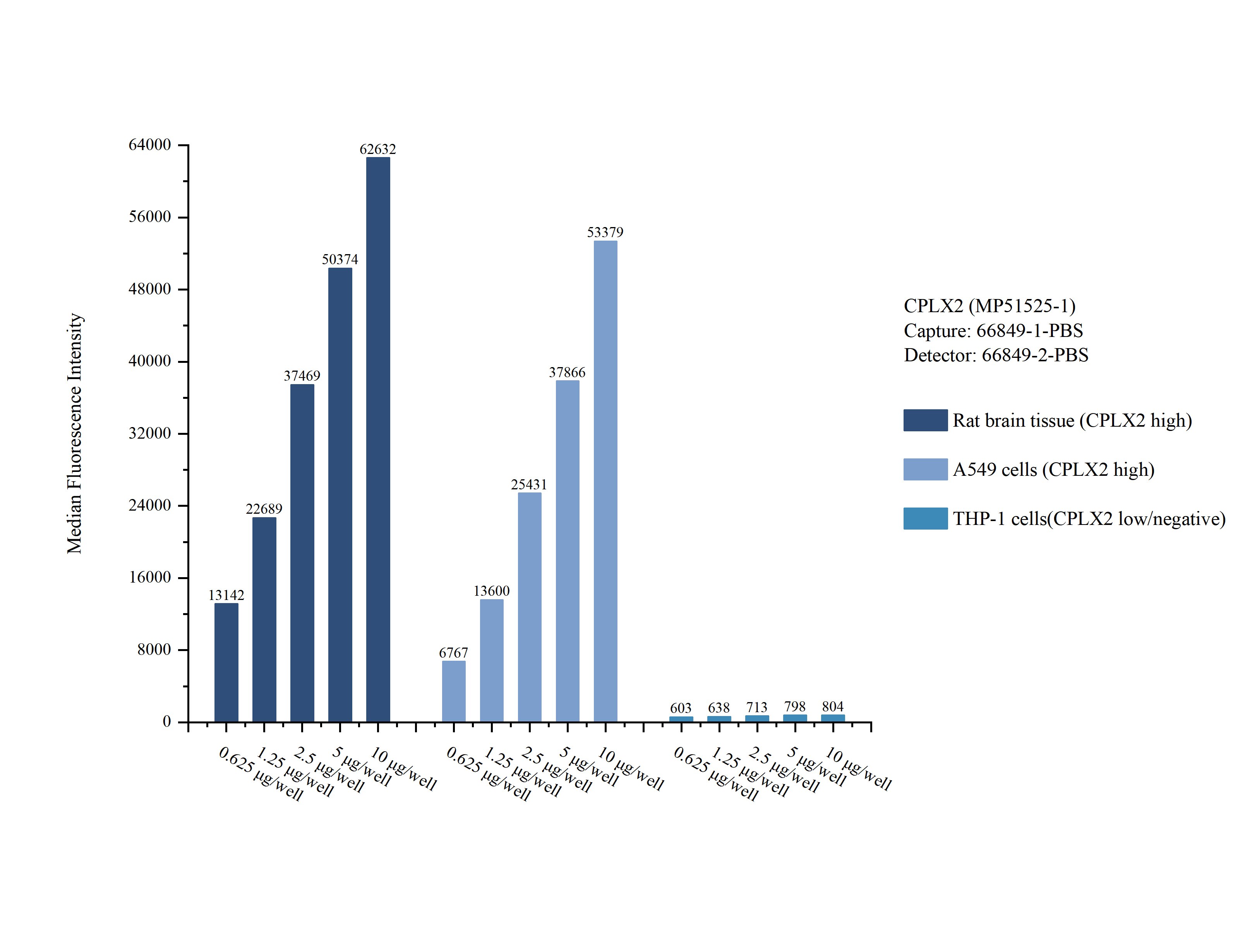 Cytometric bead array sample test of MP51525-1, CPLX2 Monoclonal Matched Antibody Pair, PBS Only. Capture antibody: 66849-1-PBS. Detection antibody: 66849-2-PBS. Cytometric bead array sample test of MP51525-1