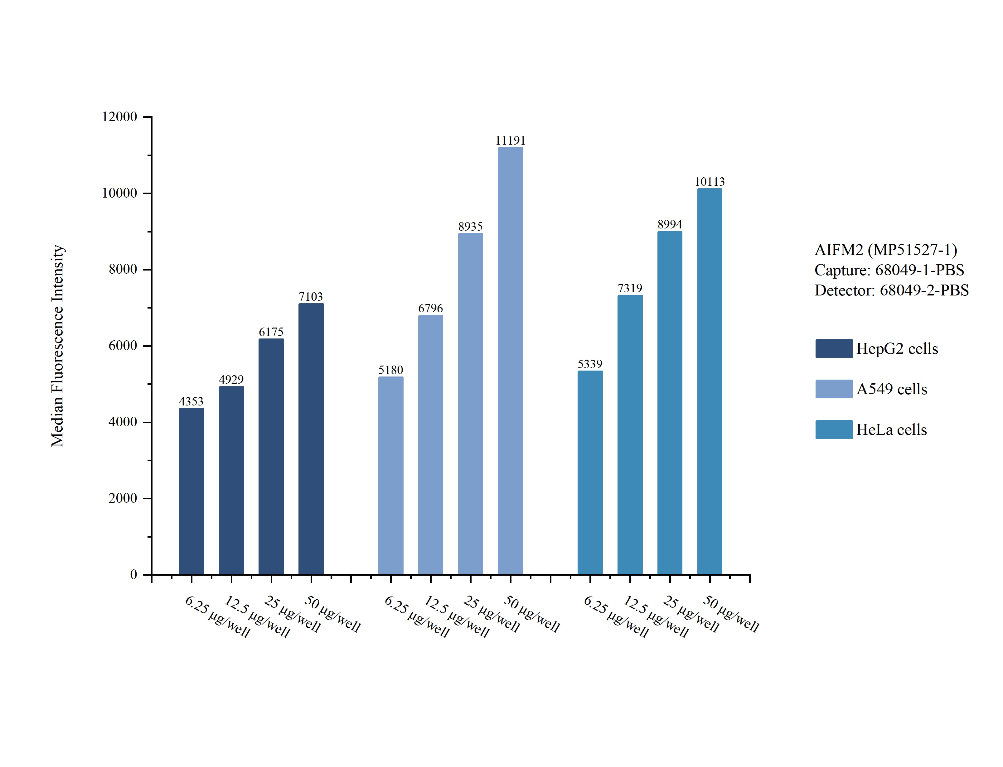 Cytometric bead array sample test of MP51527-1, AIFM2 Monoclonal Matched Antibody Pair, PBS Only. Capture antibody: 68049-1-PBS. Detection antibody: 68049-2-PBS. Cytometric bead array sample test of MP51527-1