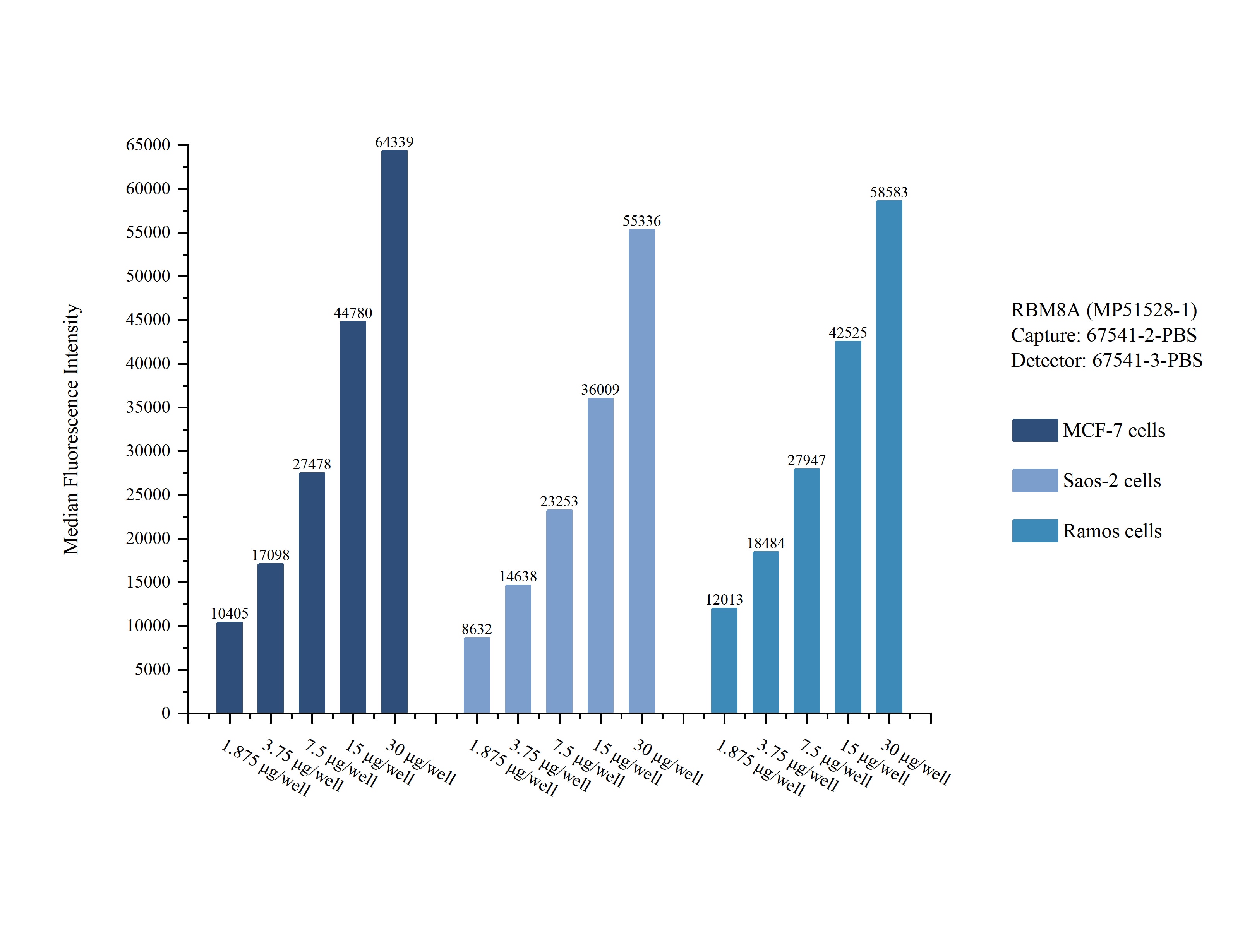 Cytometric bead array sample test of MP51528-1 Cytometric bead array sample test of MP51528-1