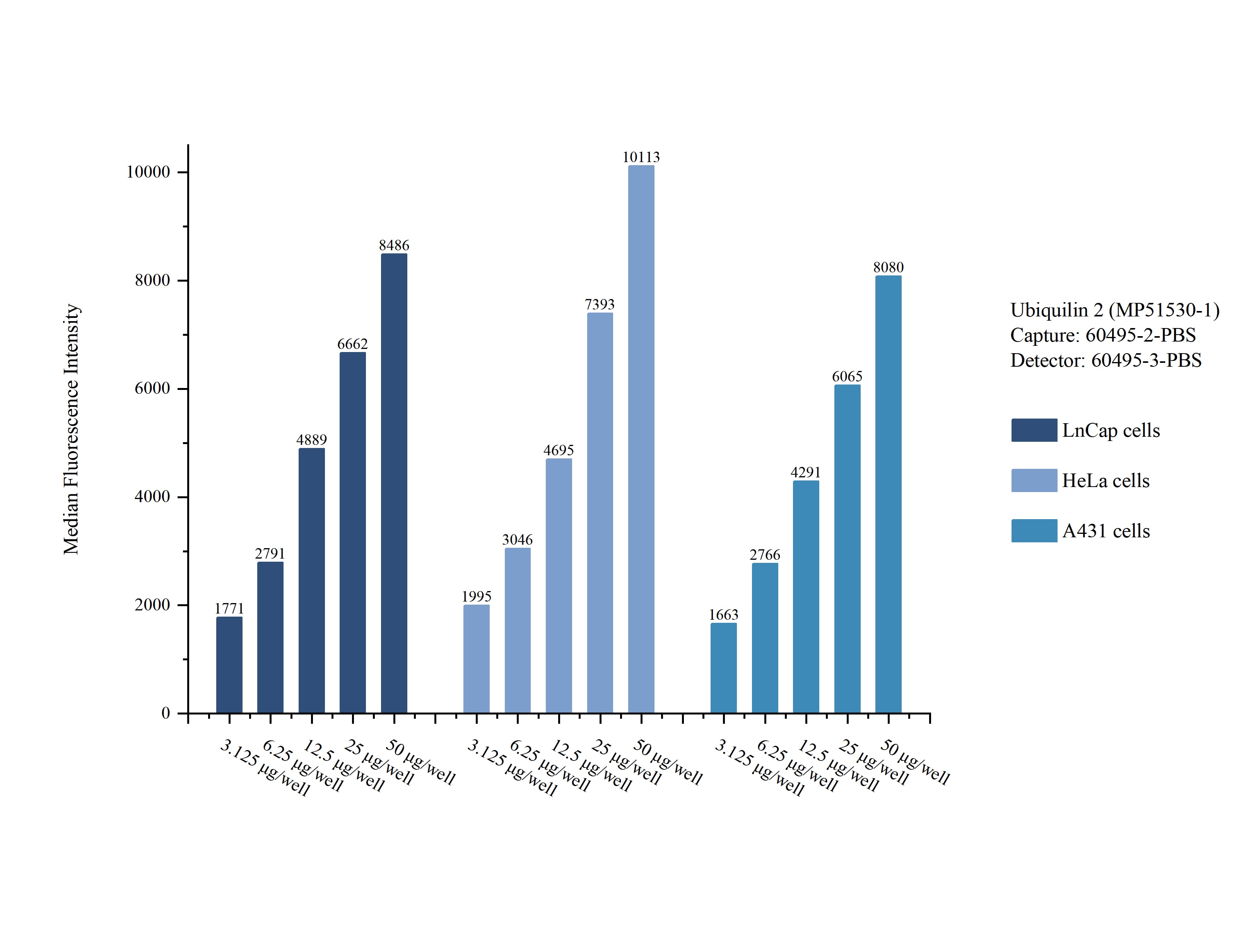 Cytometric bead array sample test of MP51530-1, Ubiquilin 2 Monoclonal Matched Antibody Pair, PBS Only. Capture antibody: 60495-2-PBS. Detection antibody: 60495-3-PBS. 
