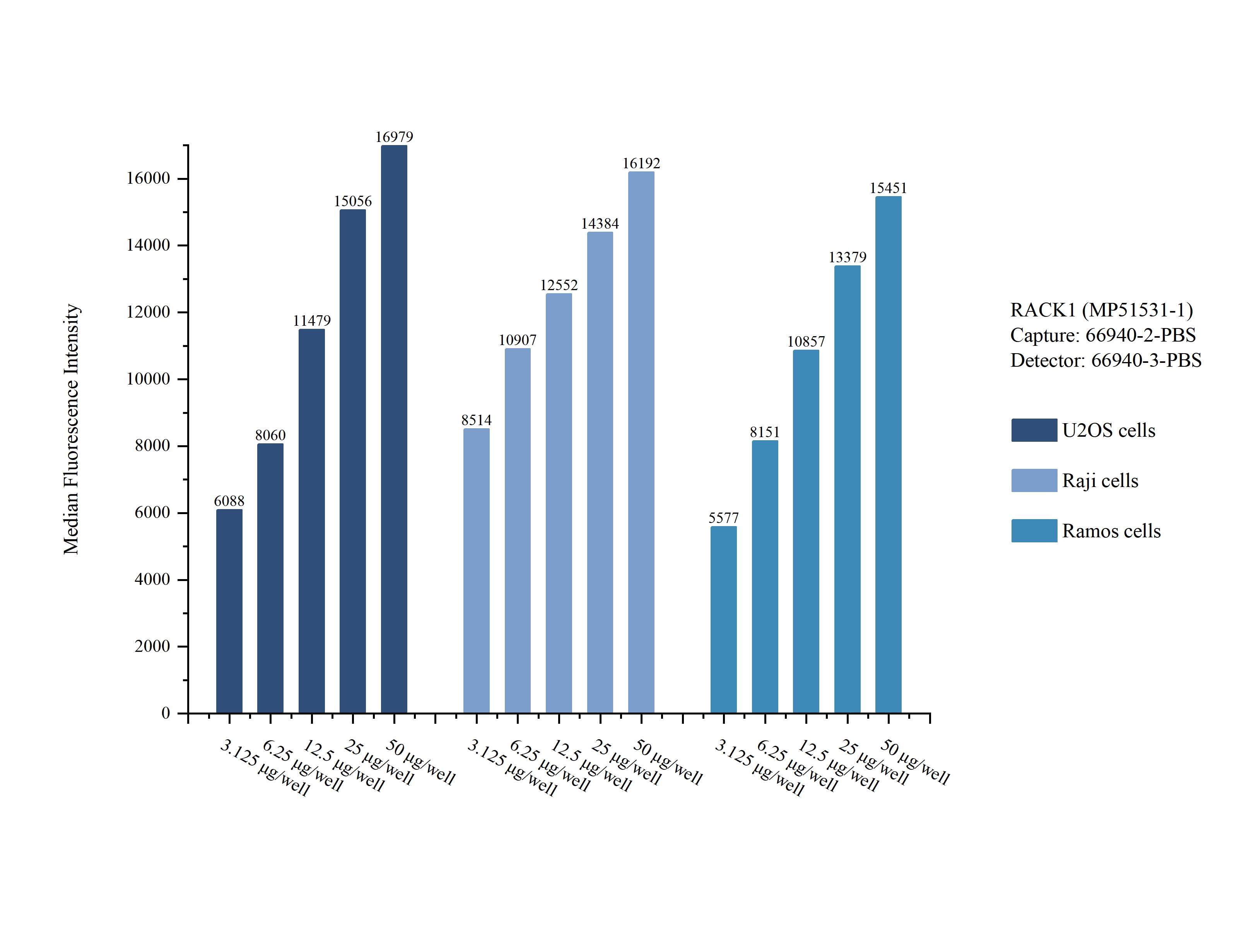 Cytometric bead array sample test of MP51531-1