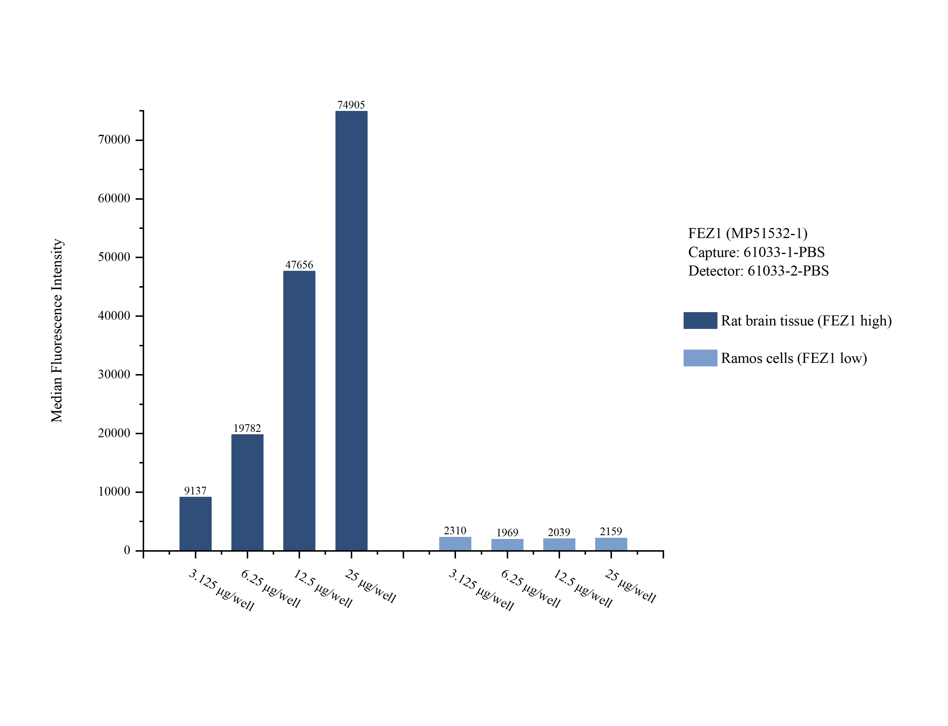 Cytometric bead array sample test of MP51532-1