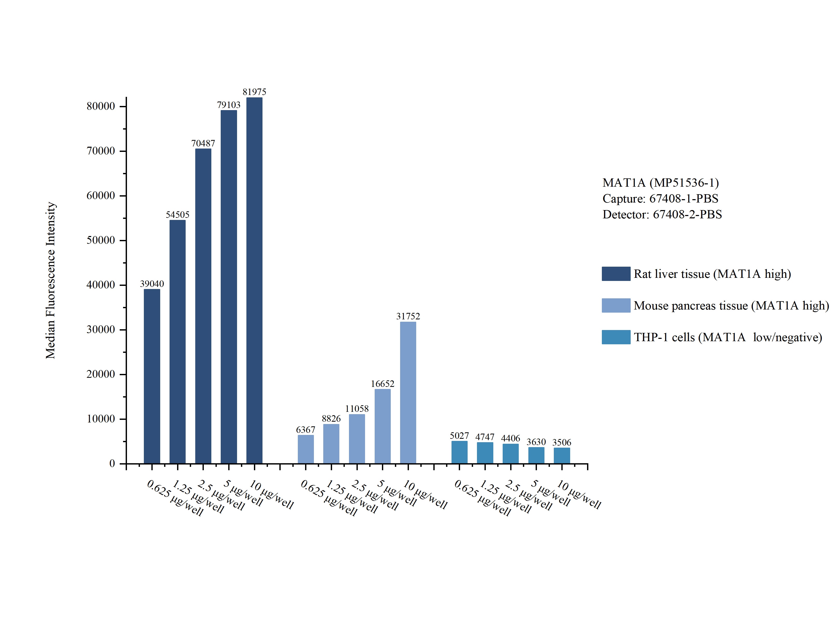 Cytometric bead array sample test of MP51536-1, MAT1A Monoclonal Matched Antibody Pair, PBS Only. Capture antibody: 67408-1-PBS. Detection antibody: 67408-2-PBS. Cytometric bead array sample test of MP51536-1