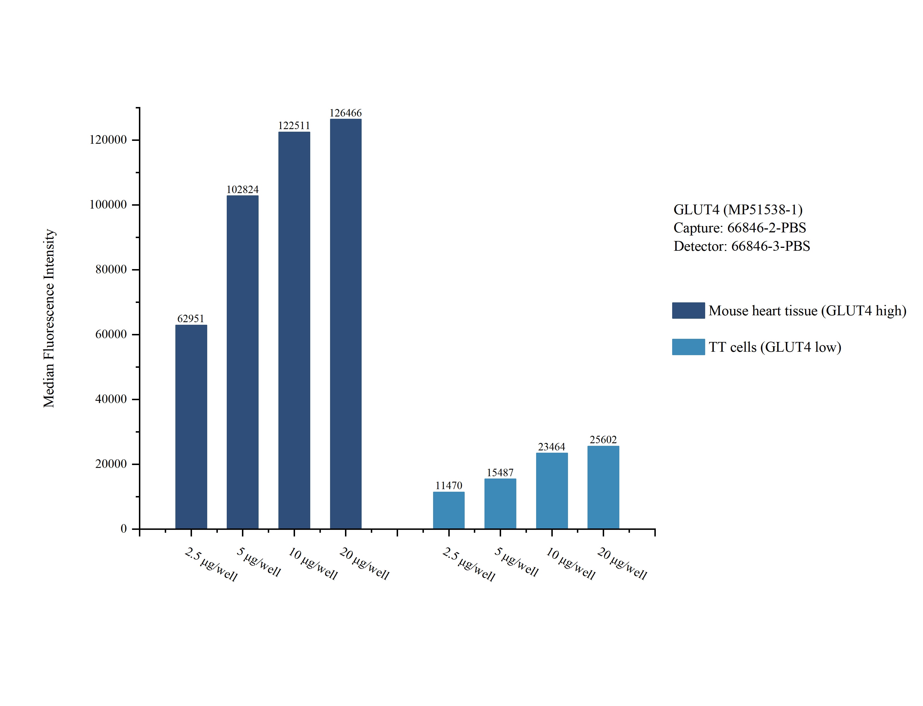 Cytometric bead array sample test of MP51538-1, GLUT4 Monoclonal Matched Antibody Pair, PBS Only. Capture antibody: 66846-2-PBS. Detection antibody: 66846-3-PBS.