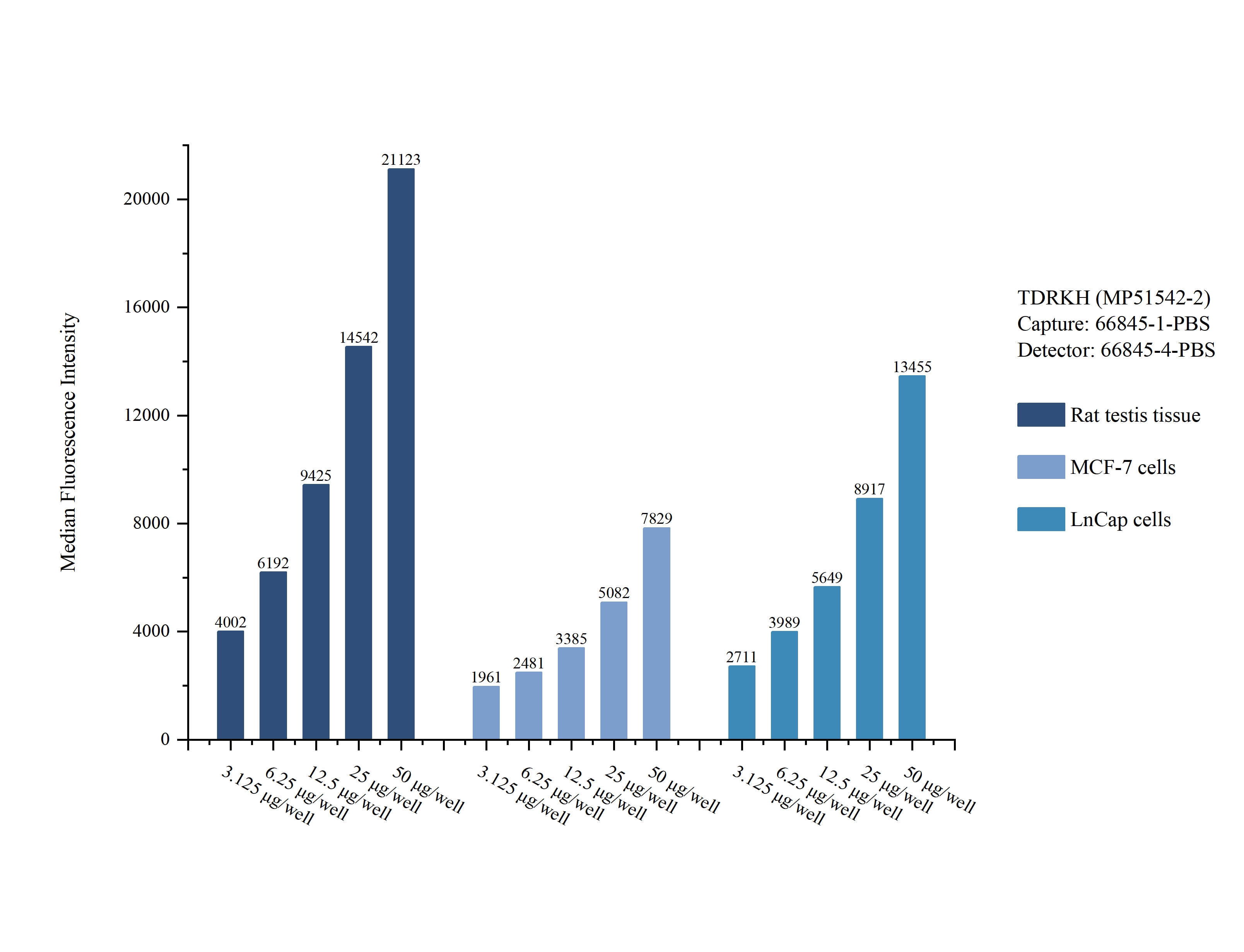 Cytometric bead array sample test of MP51542-2, TDRKH Monoclonal Matched Antibody Pair, PBS Only. Capture antibody: 66845-1-PBS. Detection antibody: 66845-4-PBS. Cytometric bead array sample test of MP51542-2