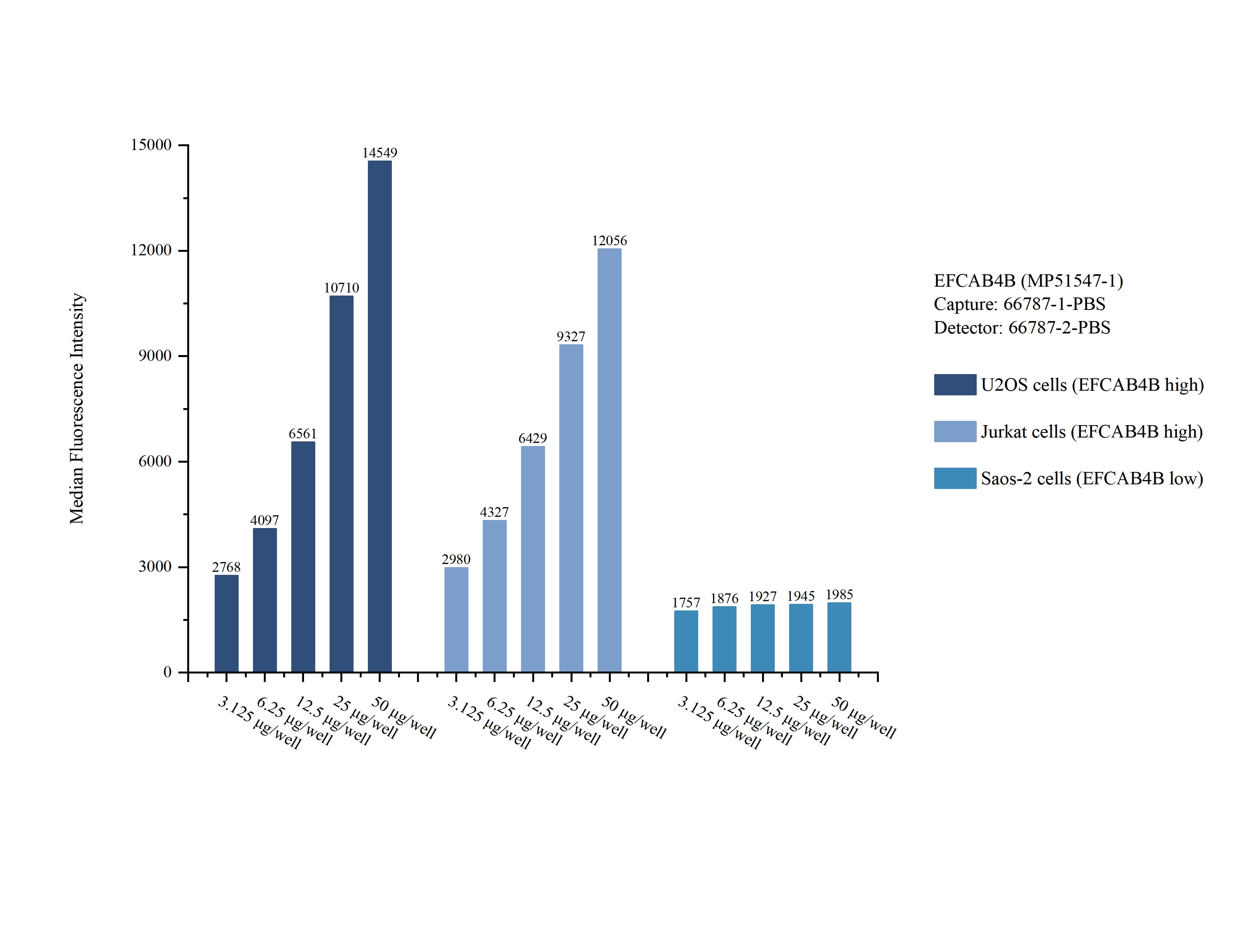 Cytometric bead array sample test of MP51547-1, EFCAB4B Monoclonal Matched Antibody Pair, PBS Only. Capture antibody: 66787-1-PBS. Detection antibody: 66787-2-PBS. Cytometric bead array sample test of MP51547-1
