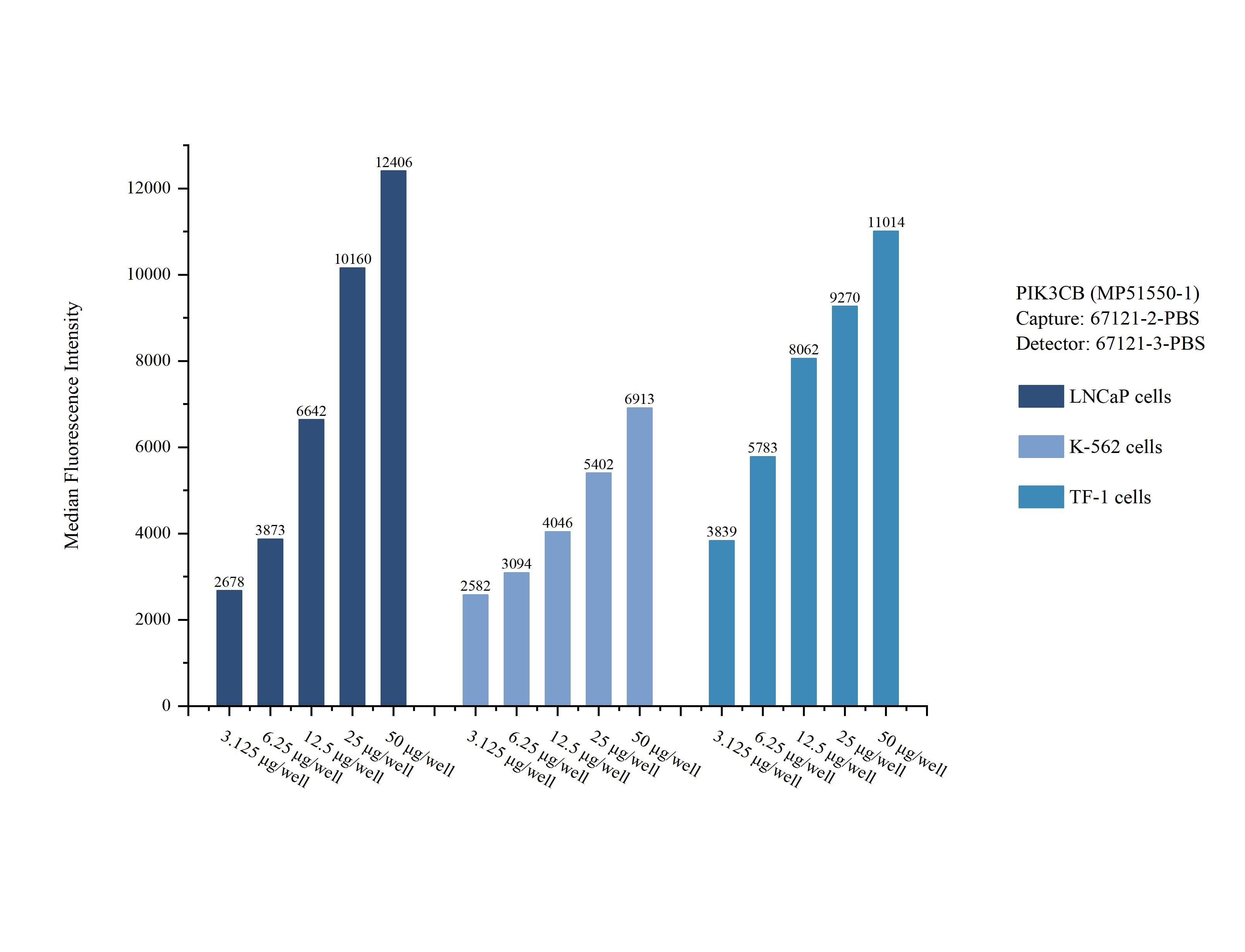 Cytometric bead array sample test of MP51550-1 Cytometric bead array sample test of MP51550-1