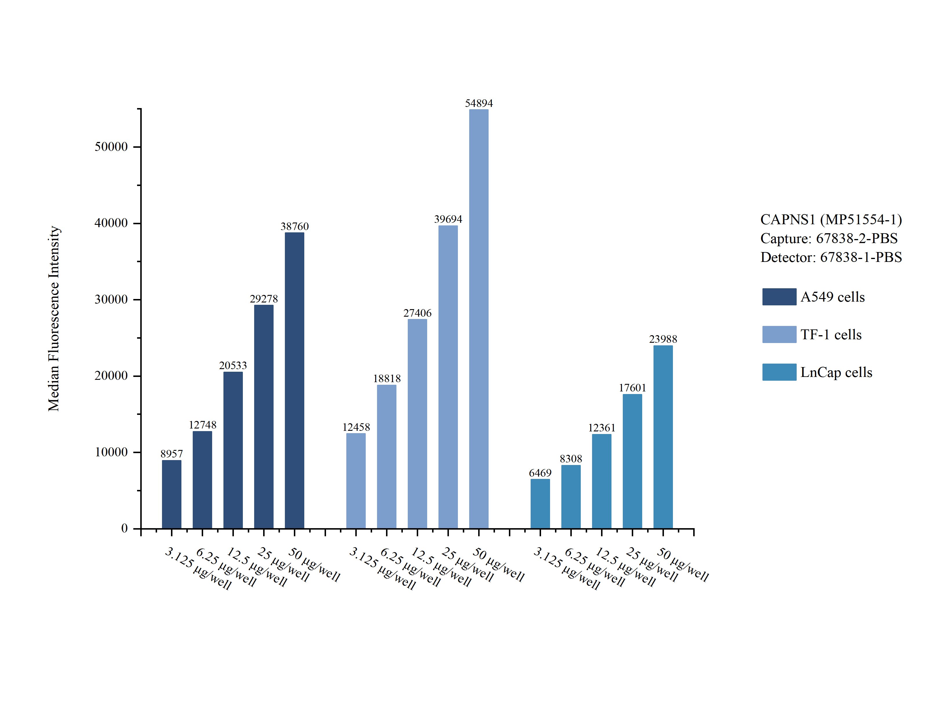 Cytometric bead array sample test of MP51554-1, CAPNS1 Monoclonal Matched Antibody Pair, PBS Only. Capture antibody: 67838-2-PBS. Detection antibody: 67838-1-PBS. Cytometric bead array sample test of MP51554-1