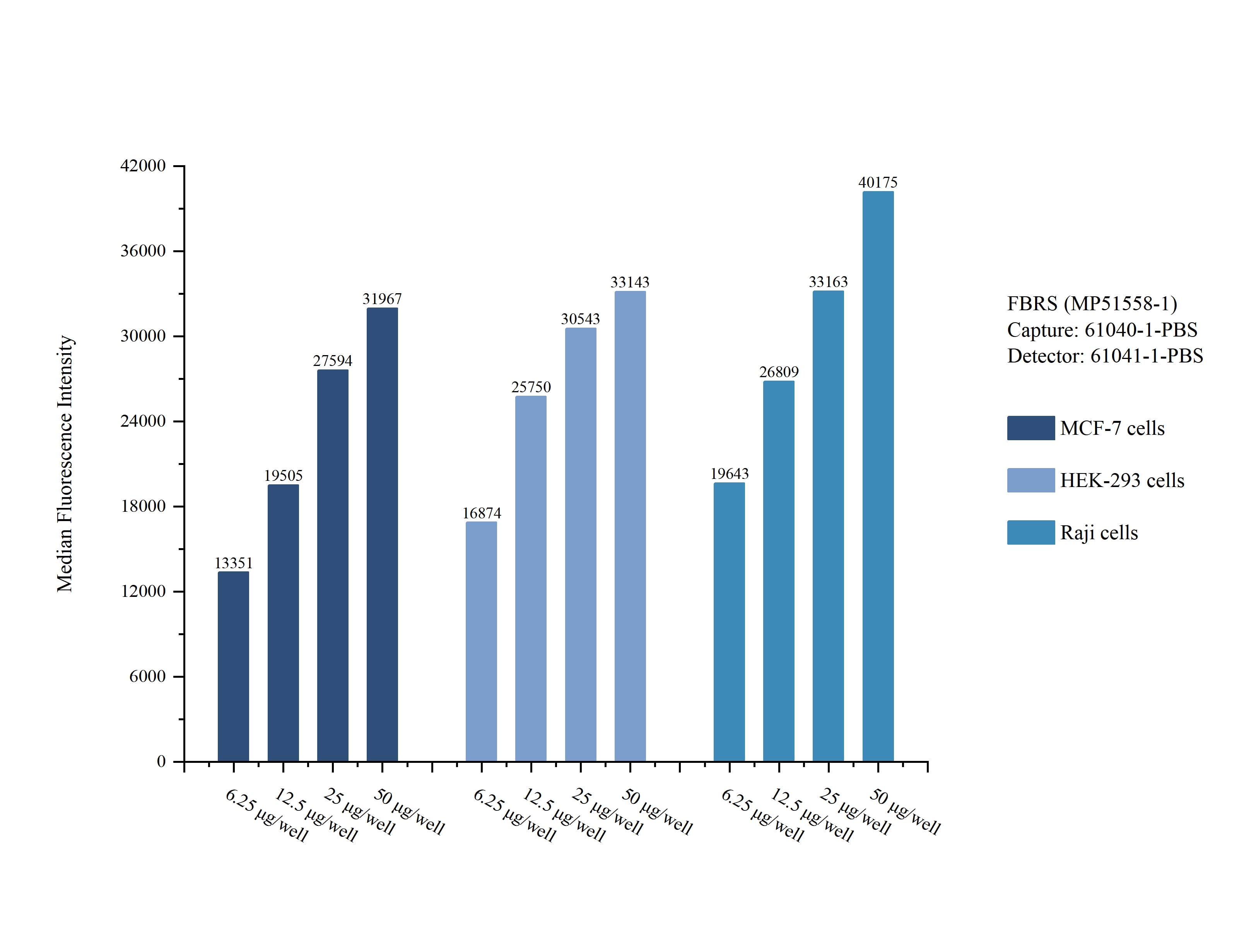 Cytometric bead array sample test of MP51558-1