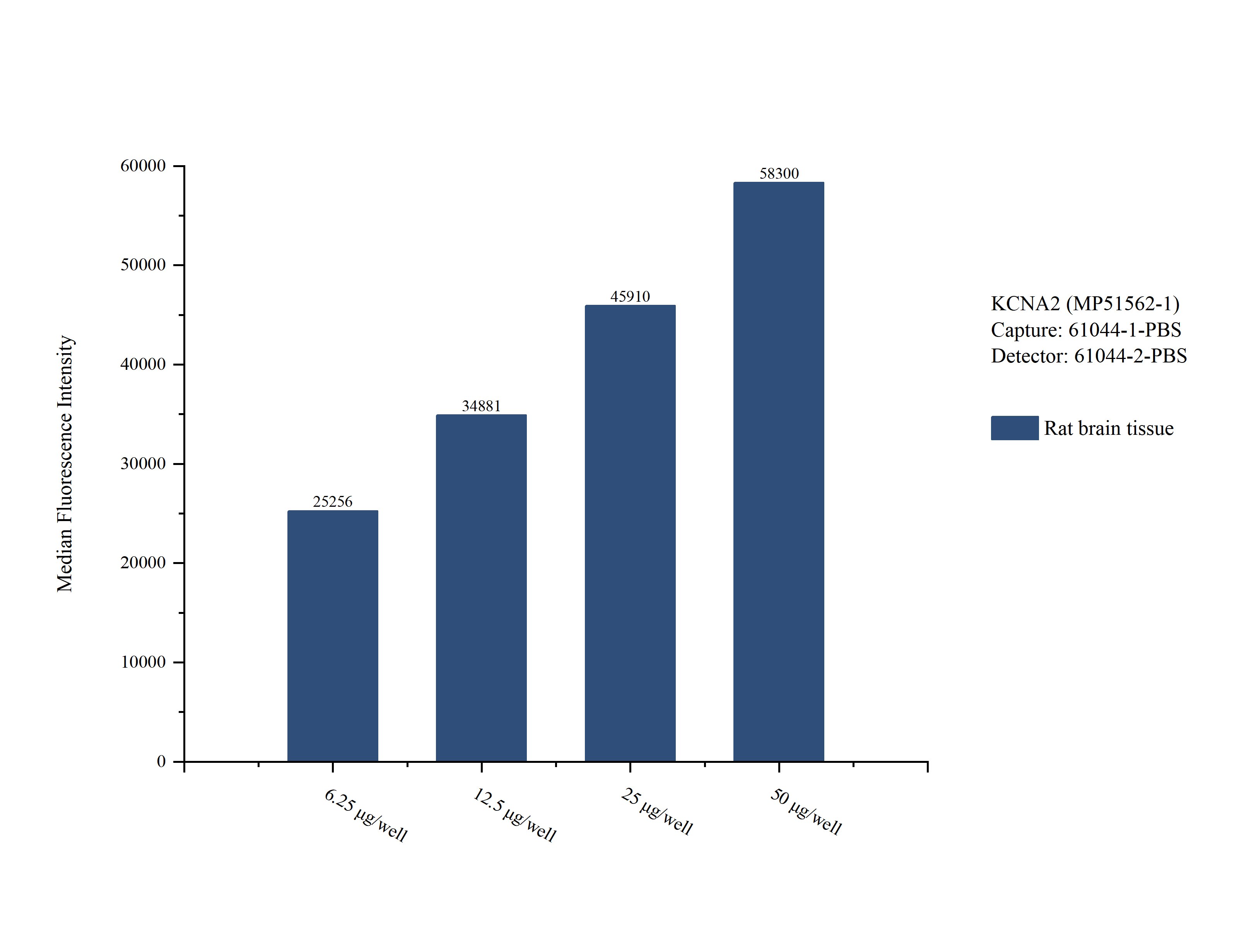 Cytometric bead array sample test of MP51562-1