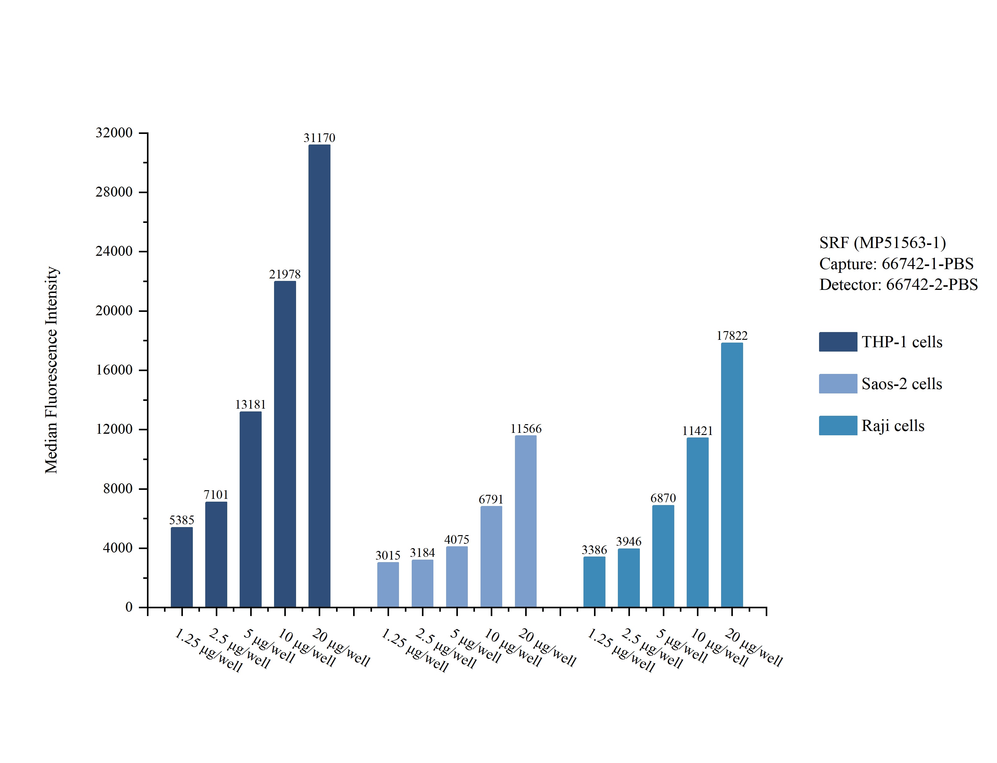 Cytometric bead array sample test of MP51563-1, SRF Monoclonal Matched Antibody Pair, PBS Only. Capture antibody: 66742-1-PBS. Detection antibody: 66742-2-PBS. Cytometric bead array sample test of MP51563-1