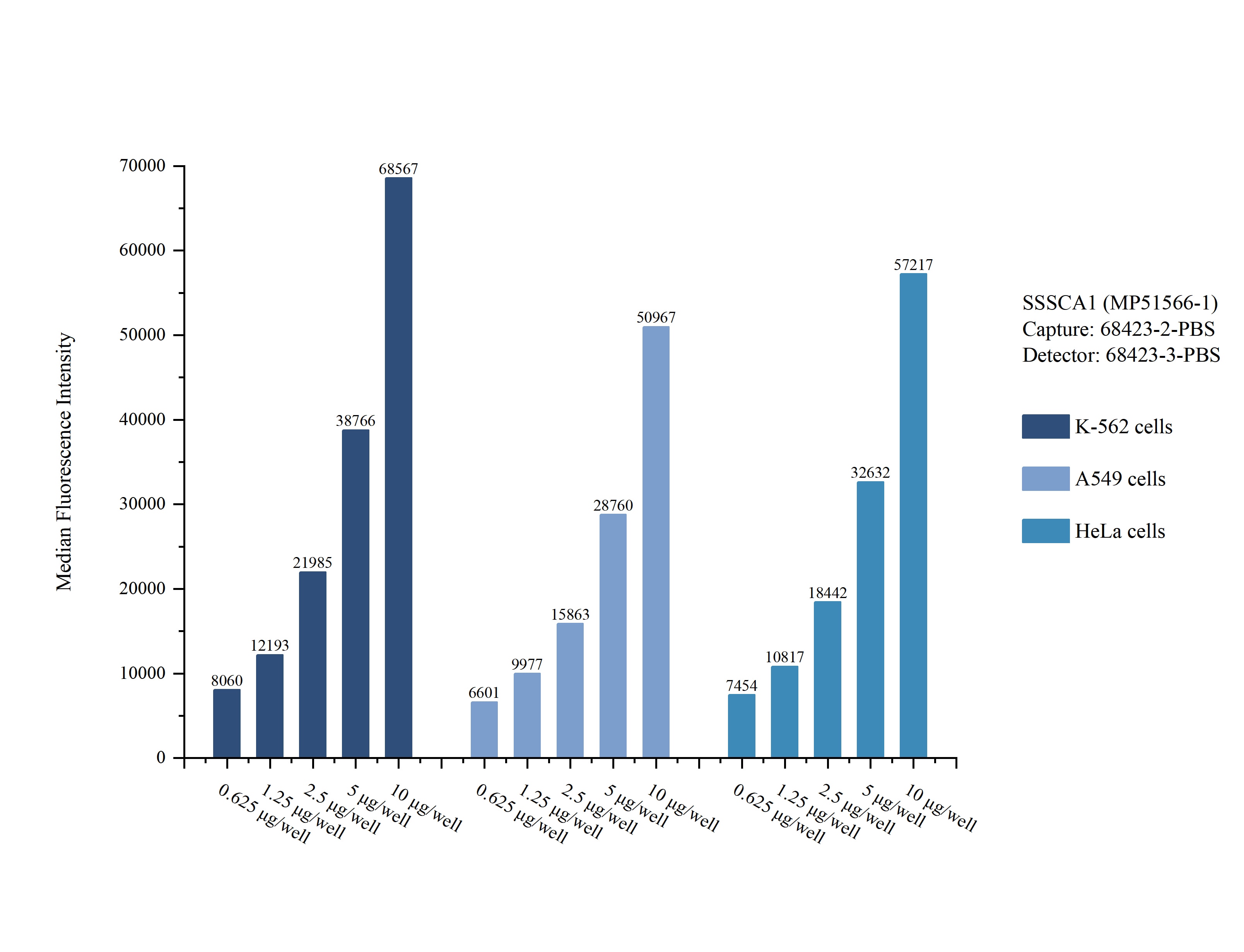 Cytometric bead array sample test of MP51566-1, SSSCA1 Monoclonal Matched Antibody Pair, PBS Only. Capture antibody: 68423-2-PBS. Detection antibody: 68423-3-PBS. Cytometric bead array sample test of MP51566-1, SSSCA1 Monoclonal Matched Antibody Pair, PBS Only. Capture antibody: 68423-2-PBS. Detection antibody: 68423-3-PBS.