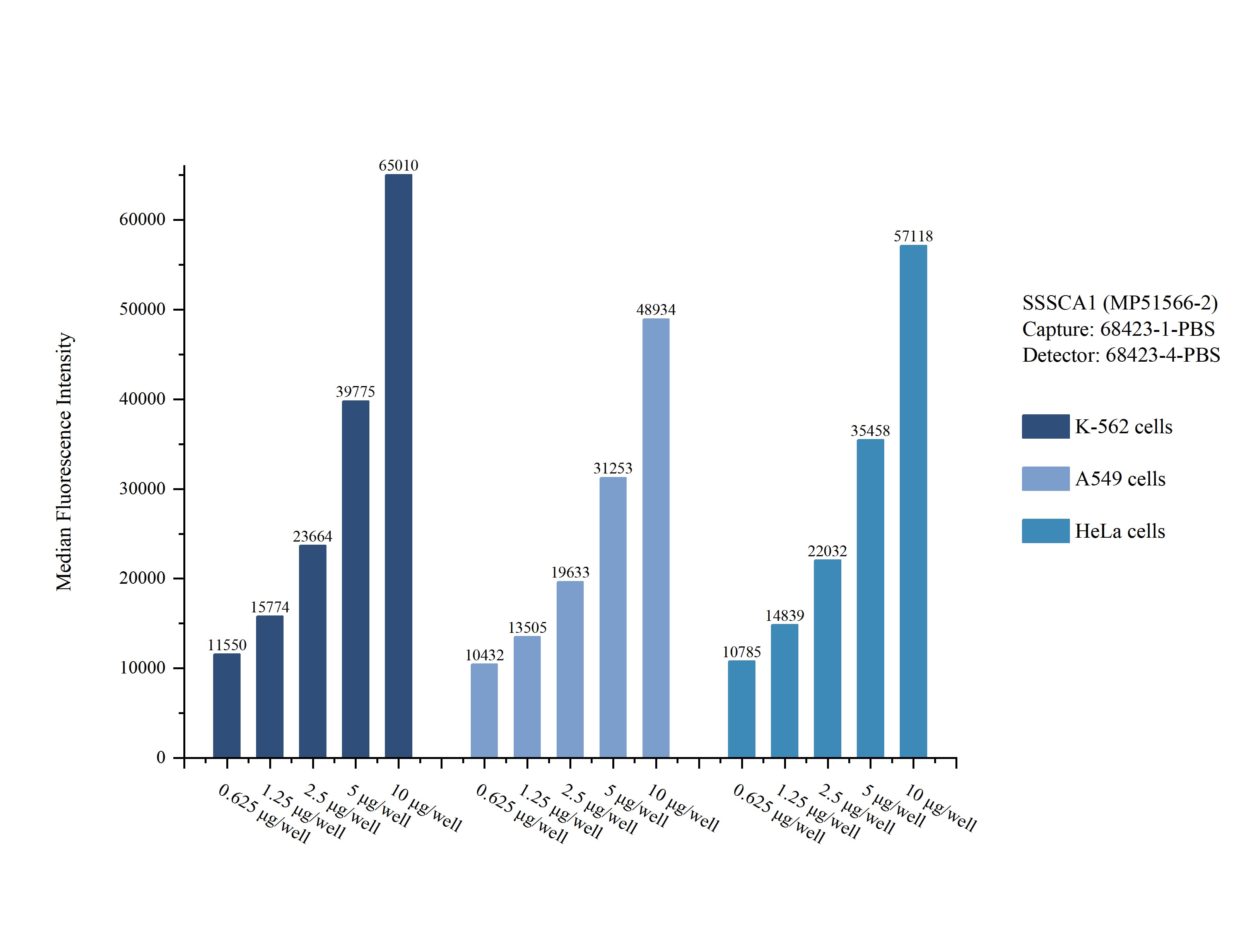Cytometric bead array sample test of MP51566-2, SSSCA1 Monoclonal Matched Antibody Pair, PBS Only. Capture antibody: 68423-1-PBS. Detection antibody: 68423-4-PBS. Cytometric bead array sample test of MP51566-2