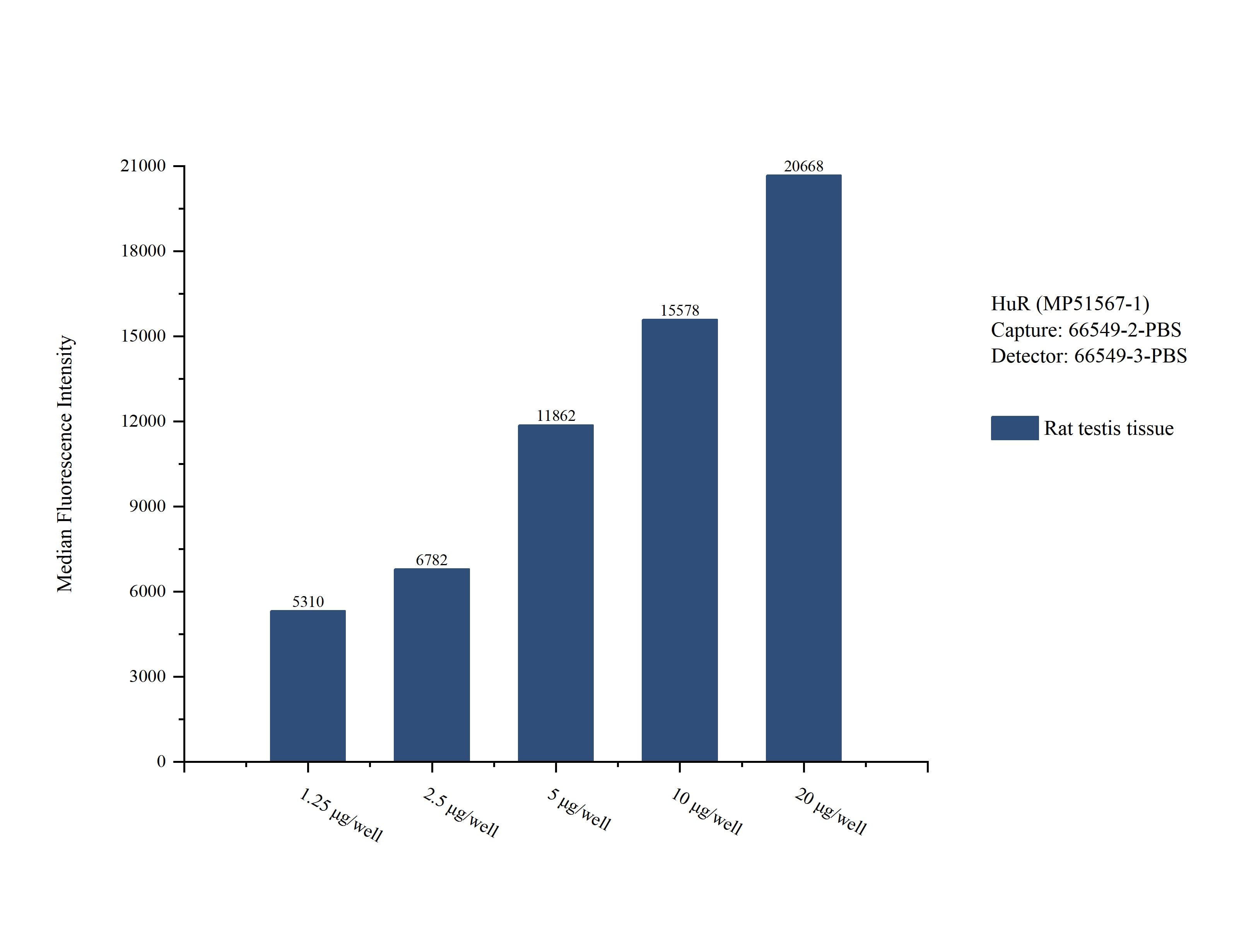Cytometric bead array sample test of MP51567-1