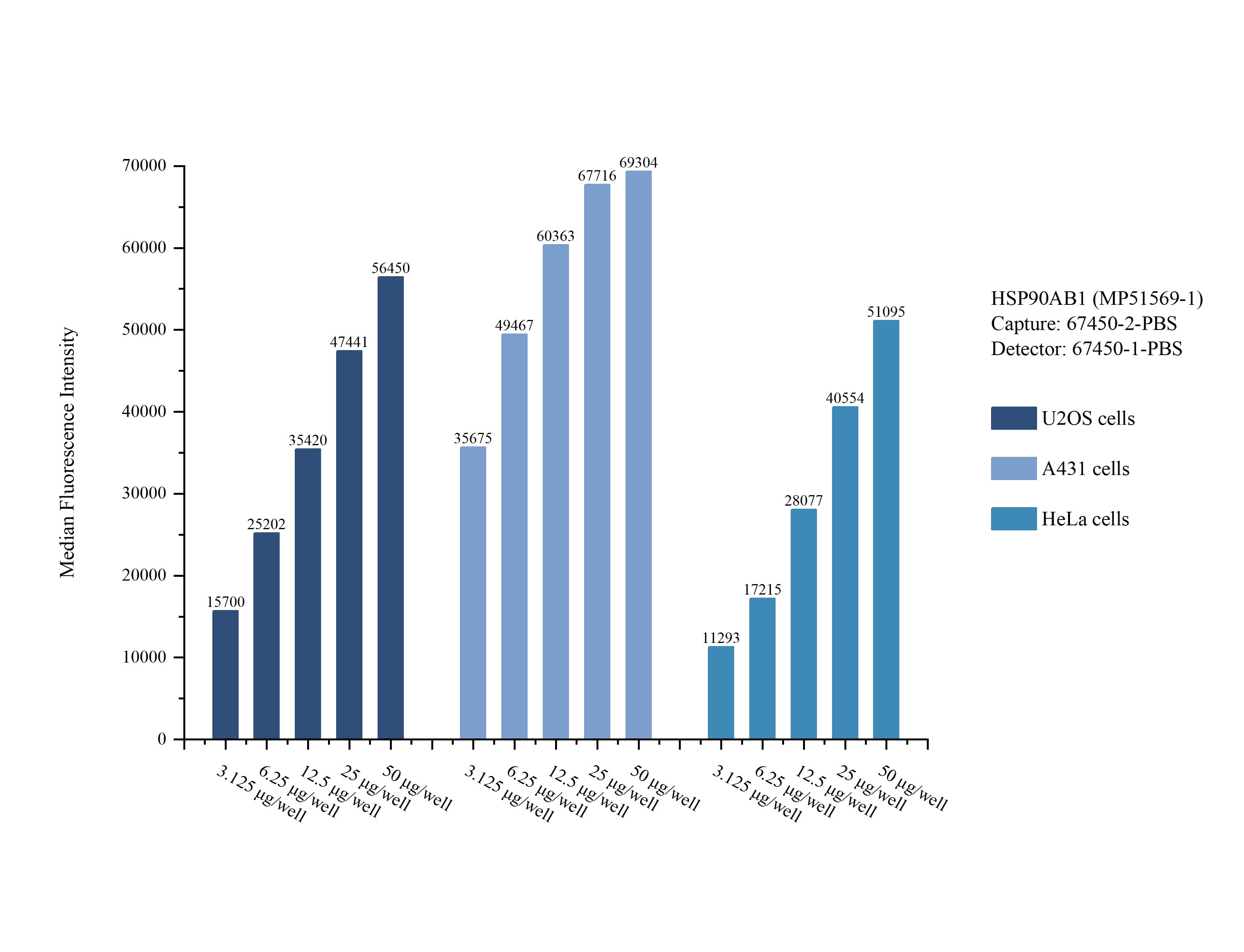 Cytometric bead array sample test of MP51569-1, HSP90AB1 Monoclonal Matched Antibody Pair, PBS Only. Capture antibody: 67450-2-PBS. Detection antibody: 67450-1-PBS. Cytometric bead array sample test of MP51569-1
