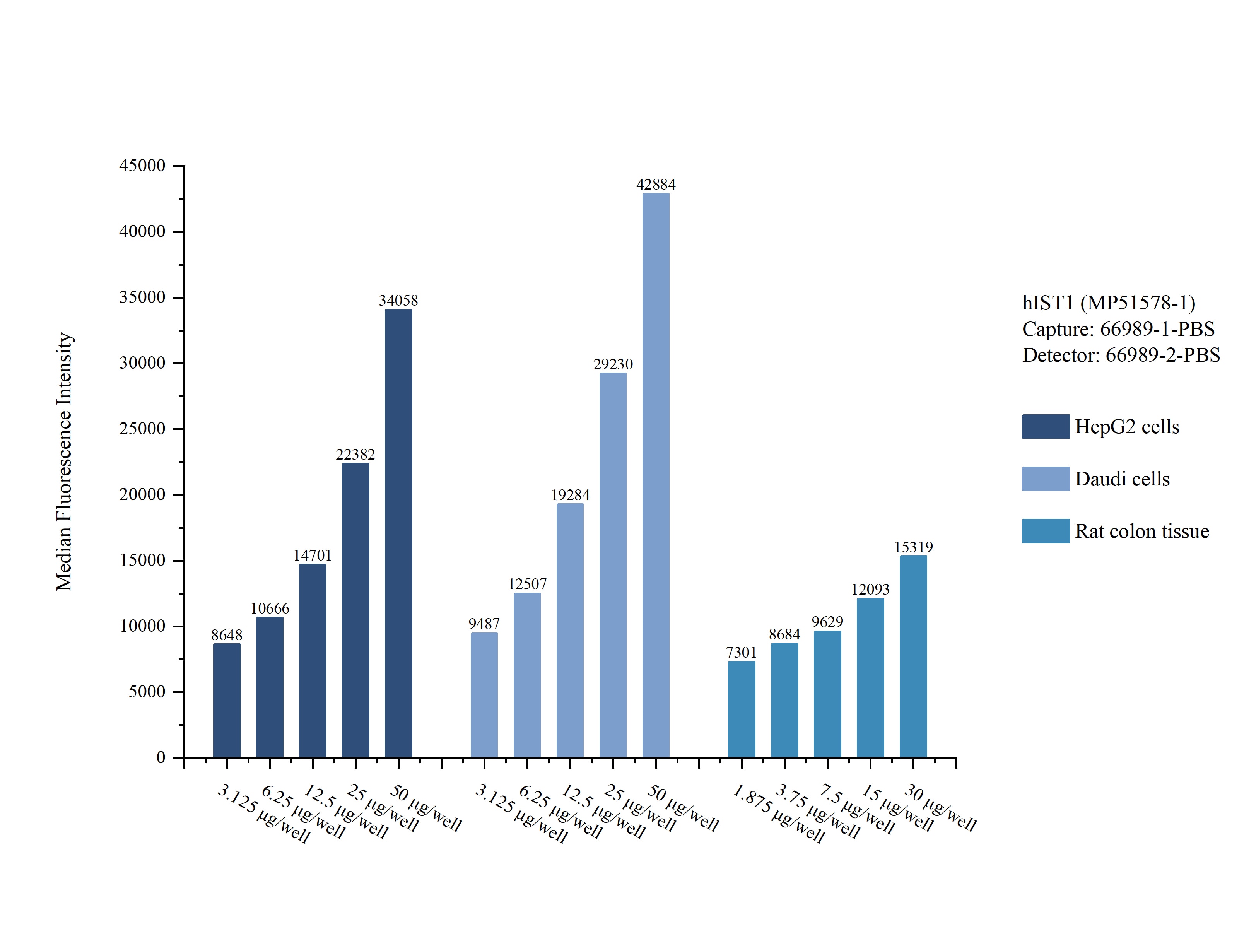 Cytometric bead array sample test of MP51578-1