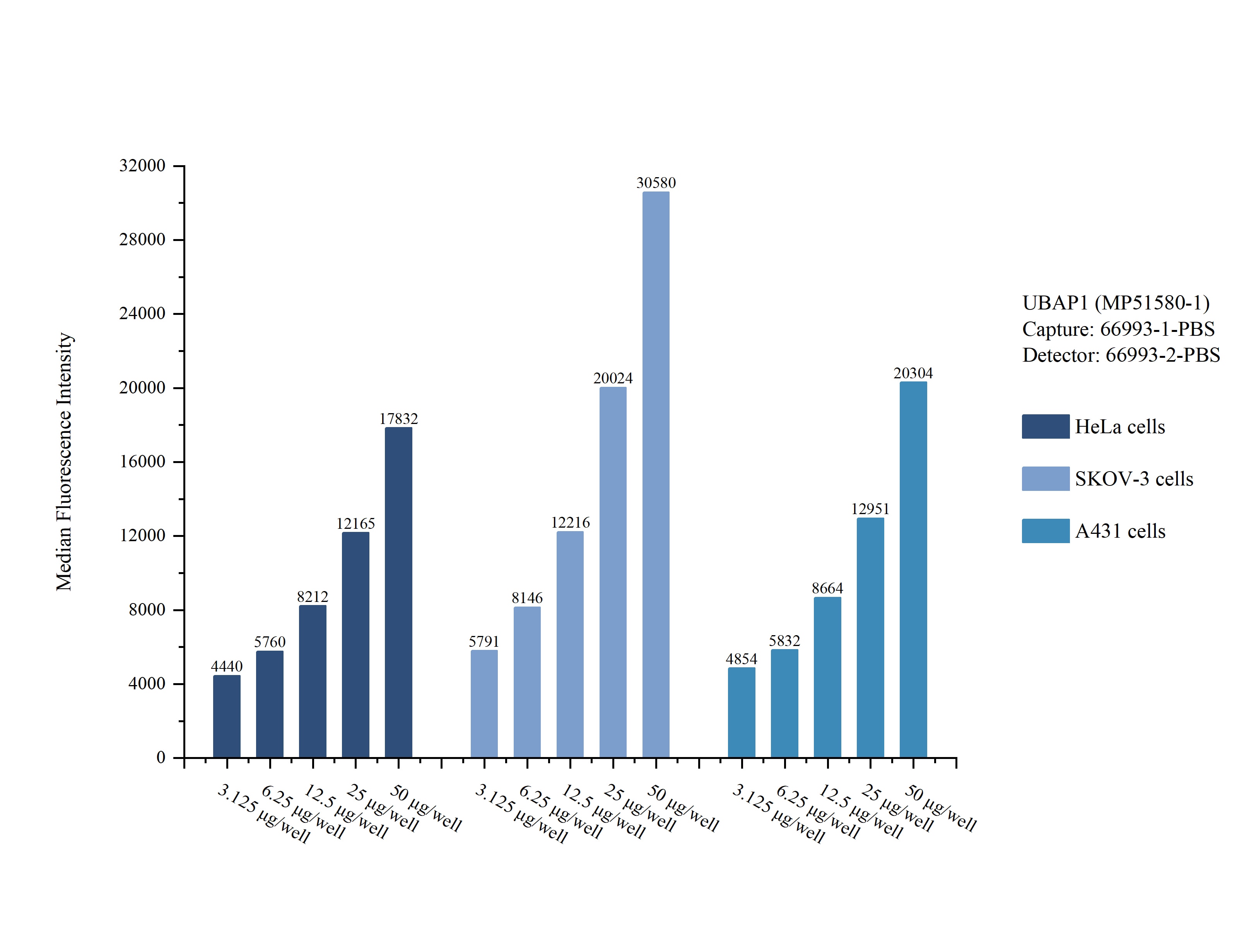 Cytometric bead array sample test of MP51580-1, UBAP1 Monoclonal Matched Antibody Pair, PBS Only. Capture antibody: 66993-1-PBS. Detection antibody: 66993-2-PBS. Cytometric bead array sample test of MP51580-1