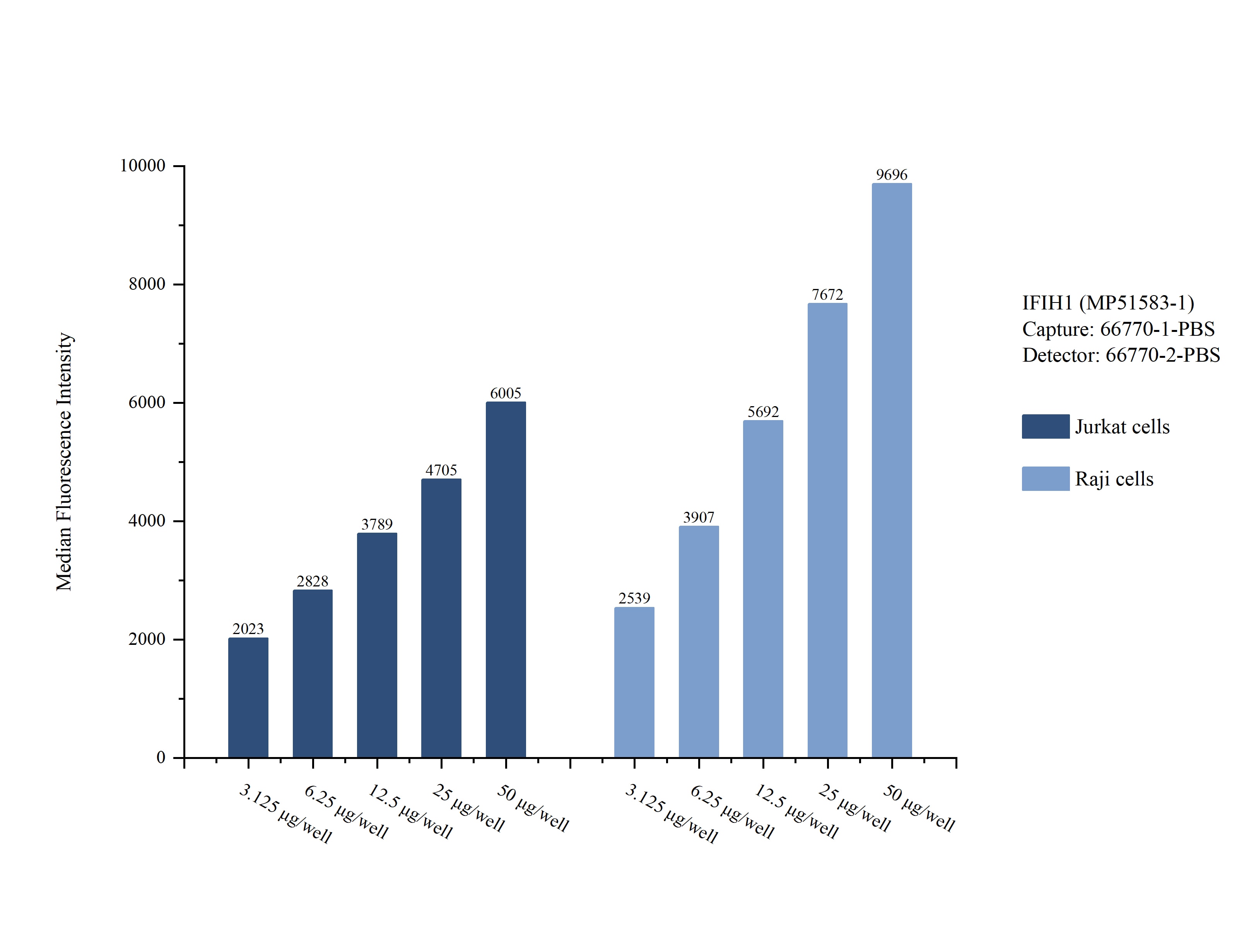 Cytometric bead array sample test of MP51583-1