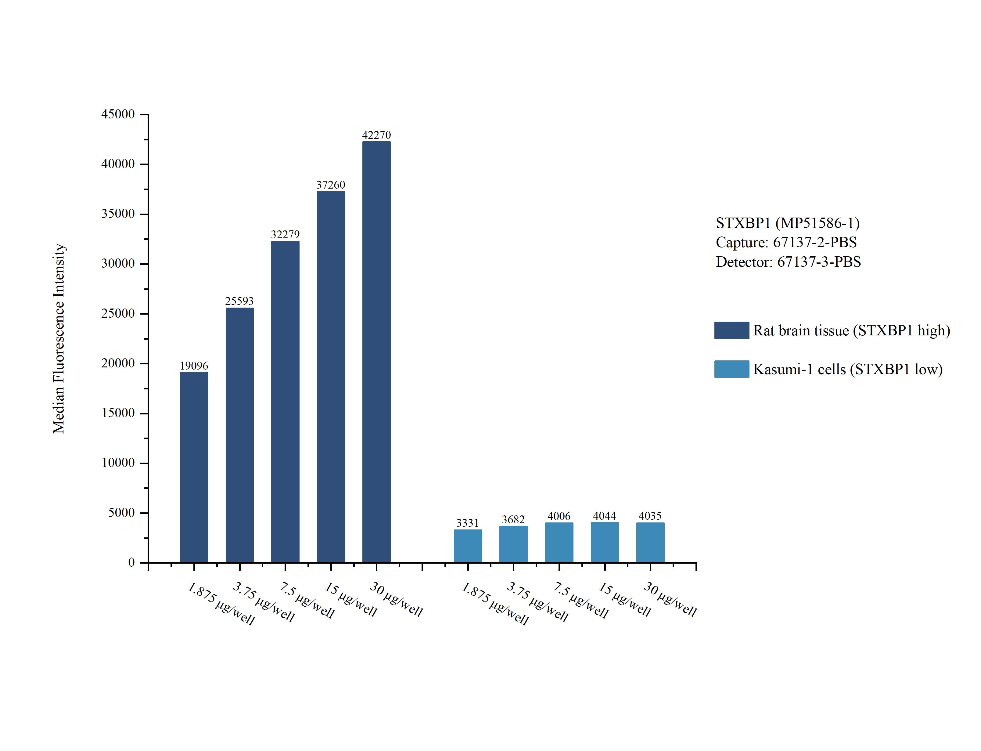 Cytometric bead array sample test of MP51586-1