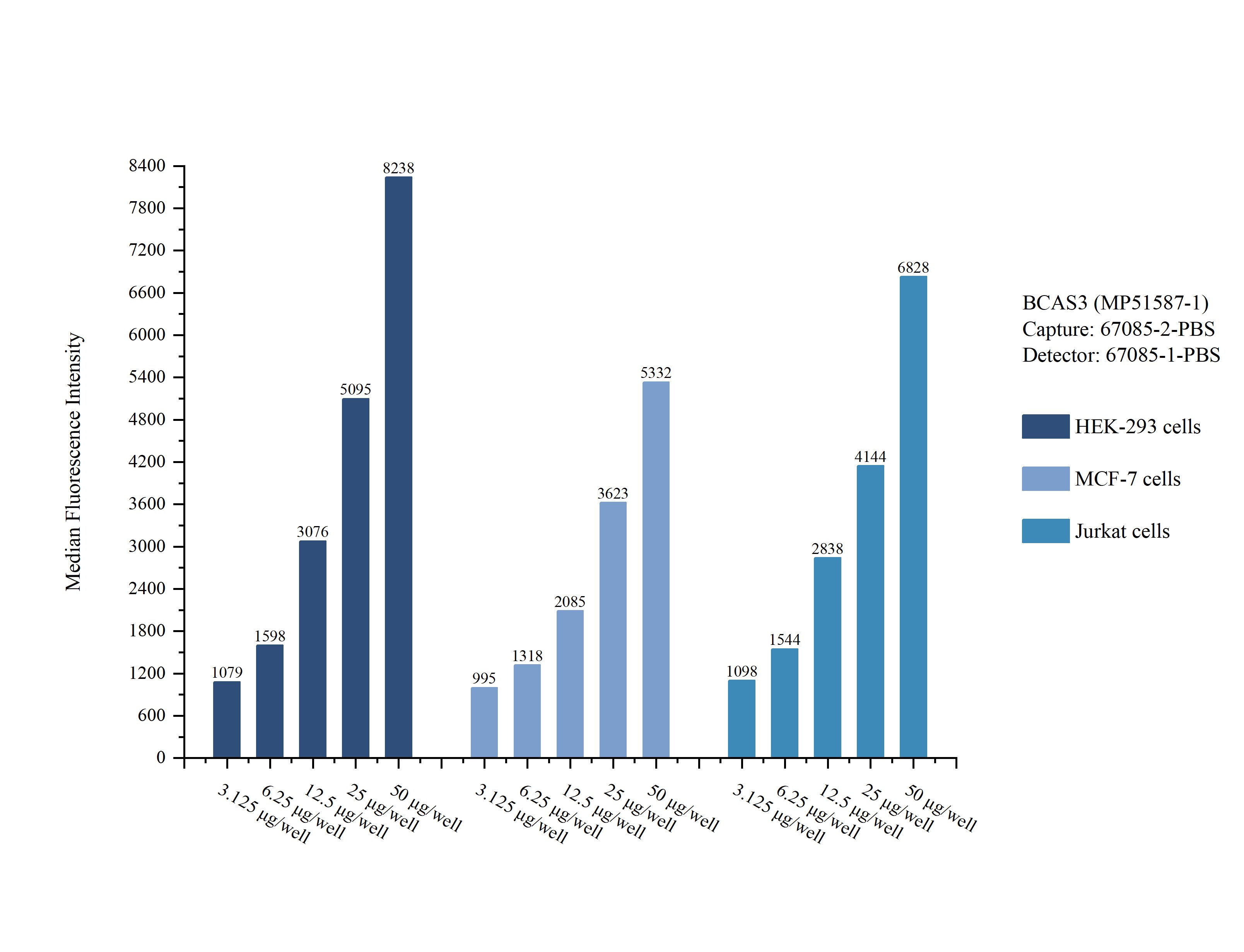 Cytometric bead array sample test of MP51587-1