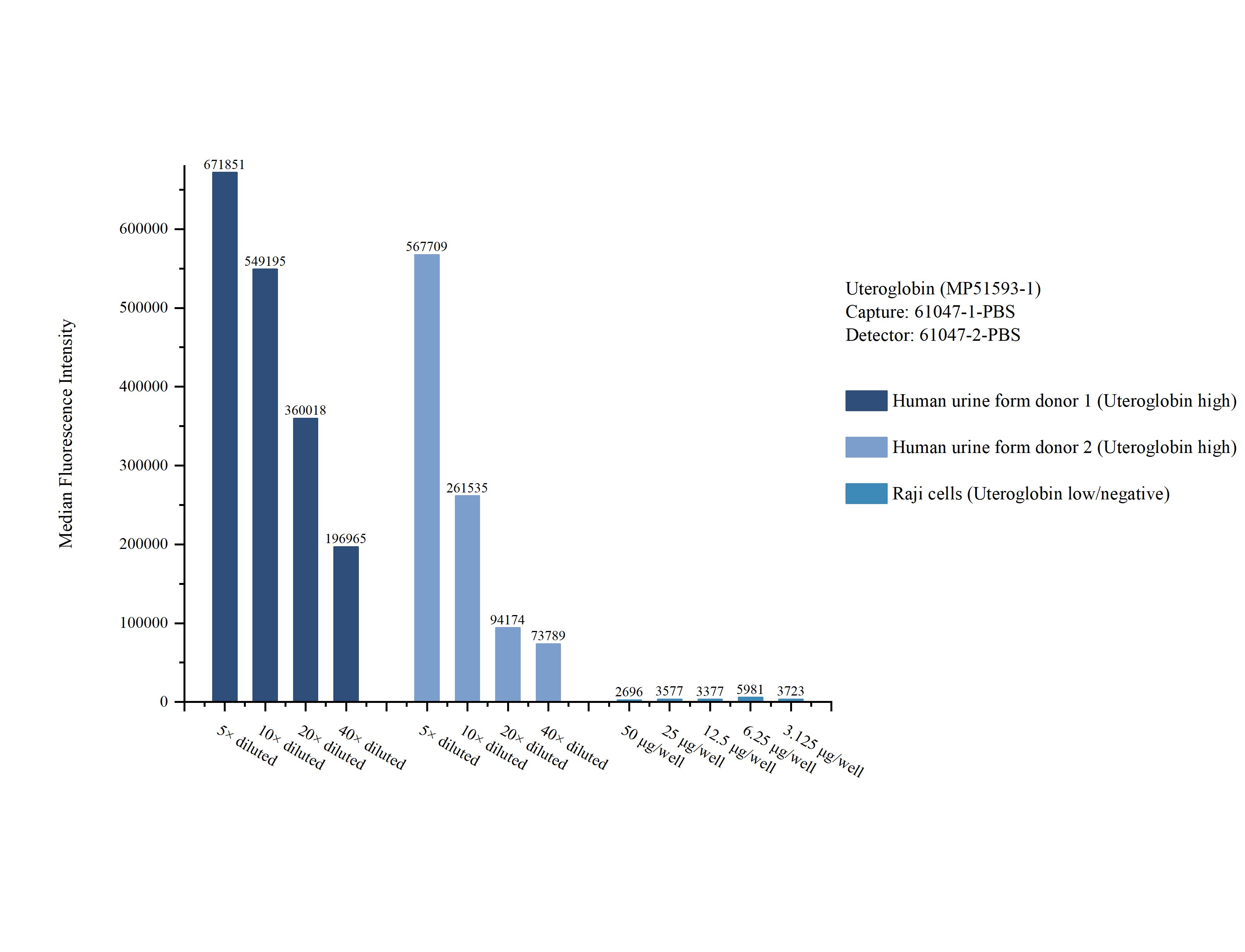 Cytometric bead array sample test of MP51593-1, Uteroglobin Monoclonal Matched Antibody Pair, PBS Only. Capture antibody: 61047-1-PBS. Detection antibody: 61047-2-PBS. 