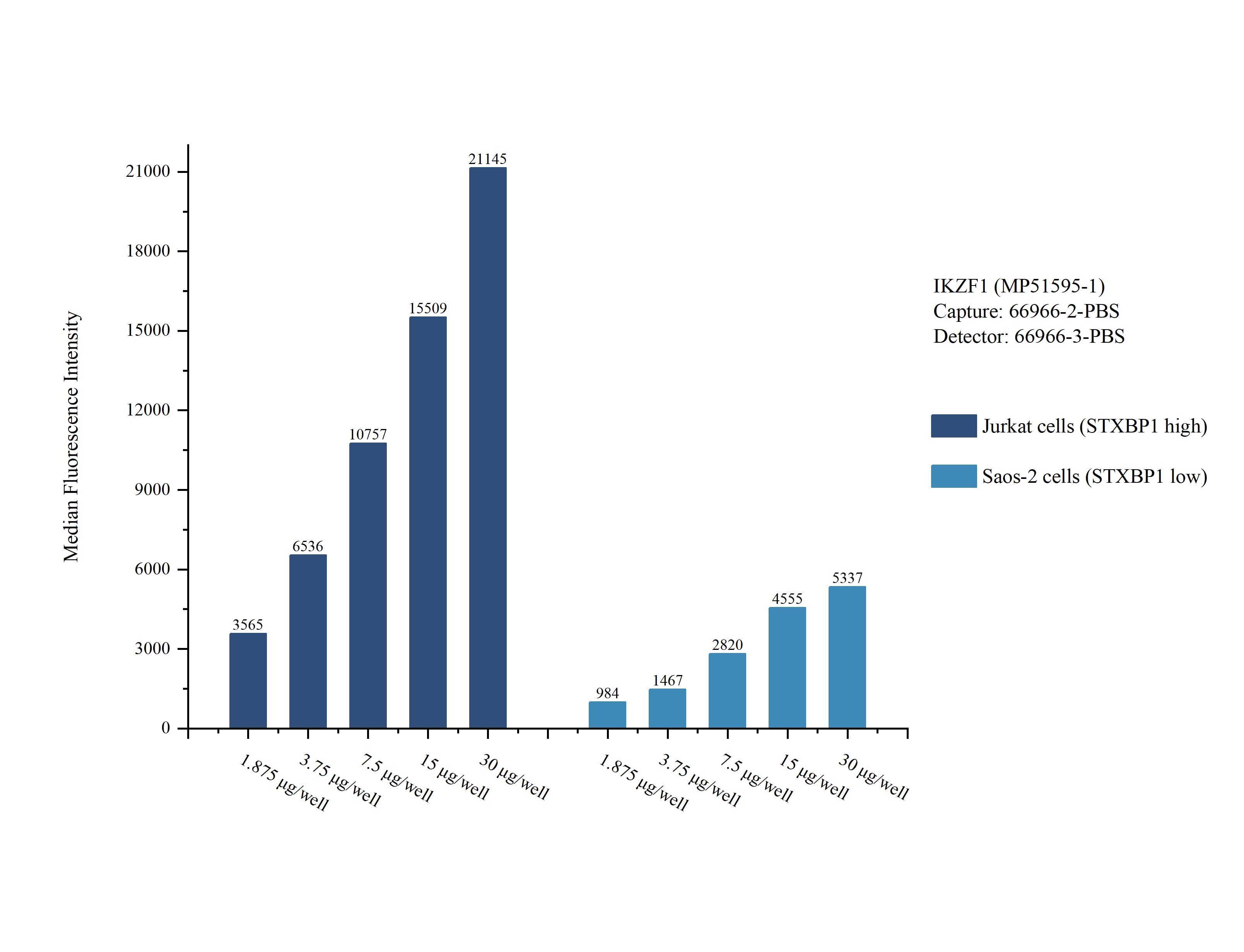 Cytometric bead array sample test of MP51595-1, IKZF1 Monoclonal Matched Antibody Pair, PBS Only. Capture antibody: 66966-2-PBS. Detection antibody: 66966-3-PBS. Cytometric bead array sample test of MP51595-1