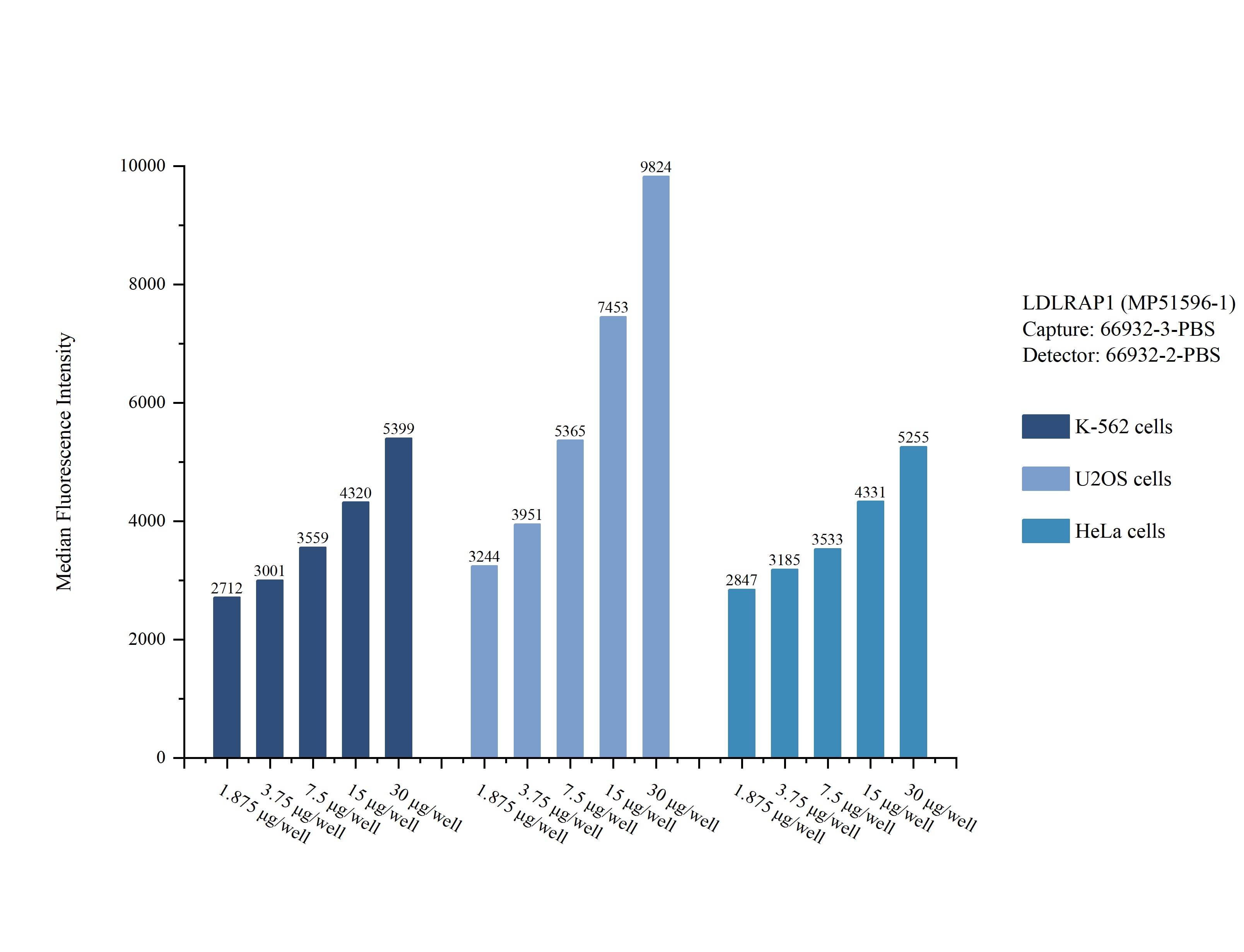 Cytometric bead array sample test of MP51596-1