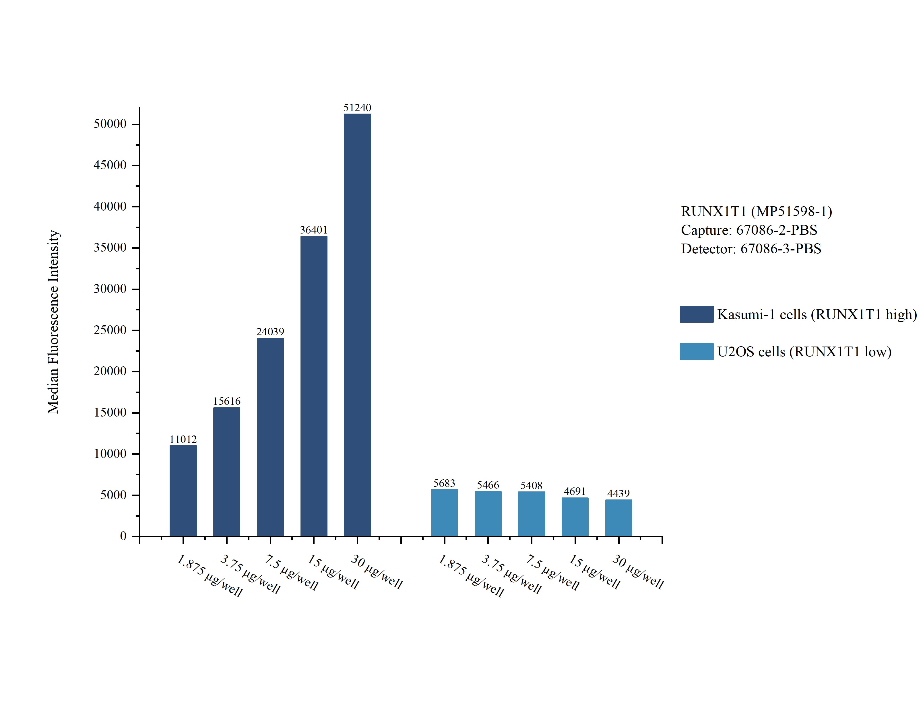 Cytometric bead array sample test of MP51598-1, RUNX1T1 Monoclonal Matched Antibody Pair, PBS Only. Capture antibody: 67086-2-PBS. Detection antibody: 67086-3-PBS. Cytometric bead array sample test of MP51598-1