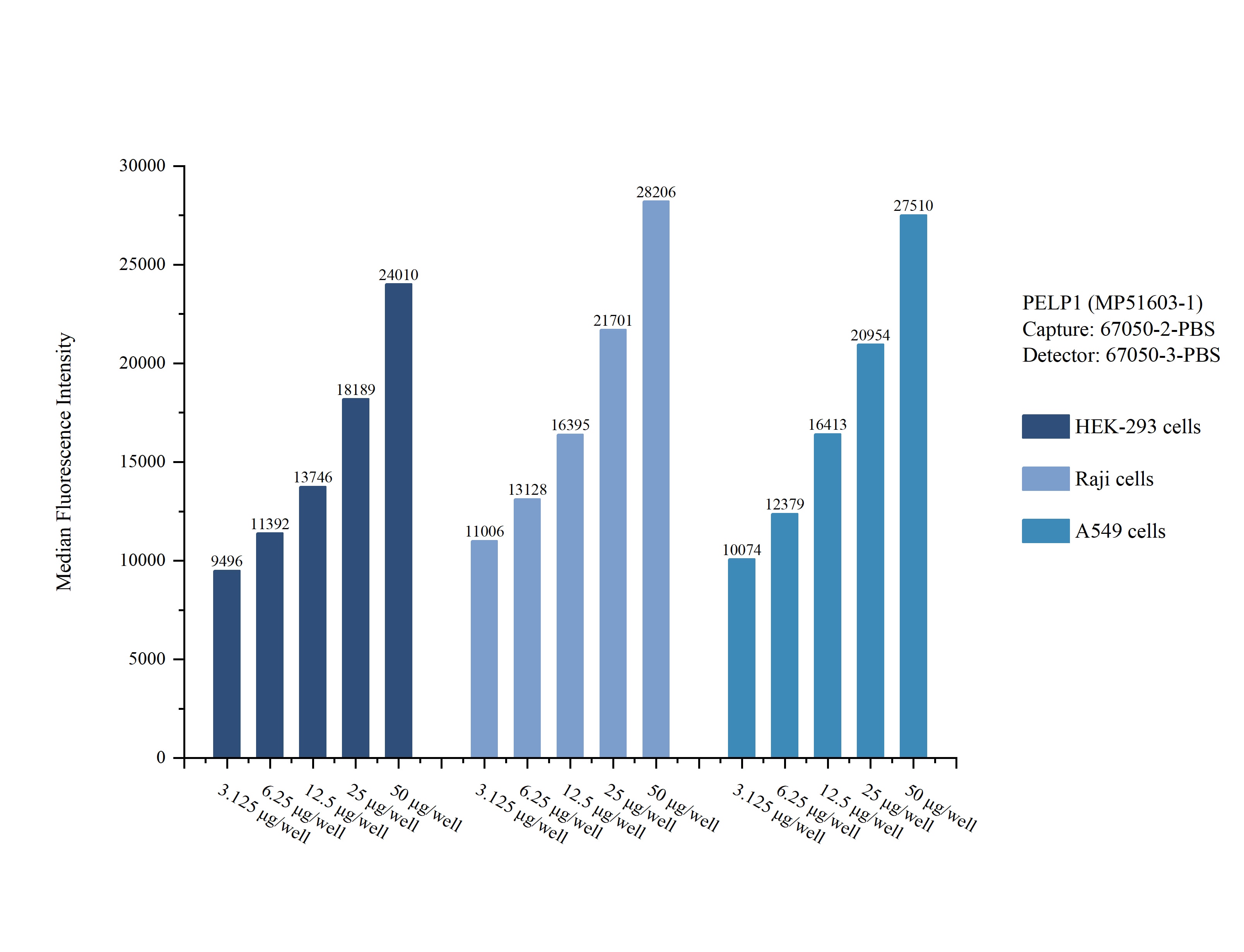 Cytometric bead array sample test of MP51603-1