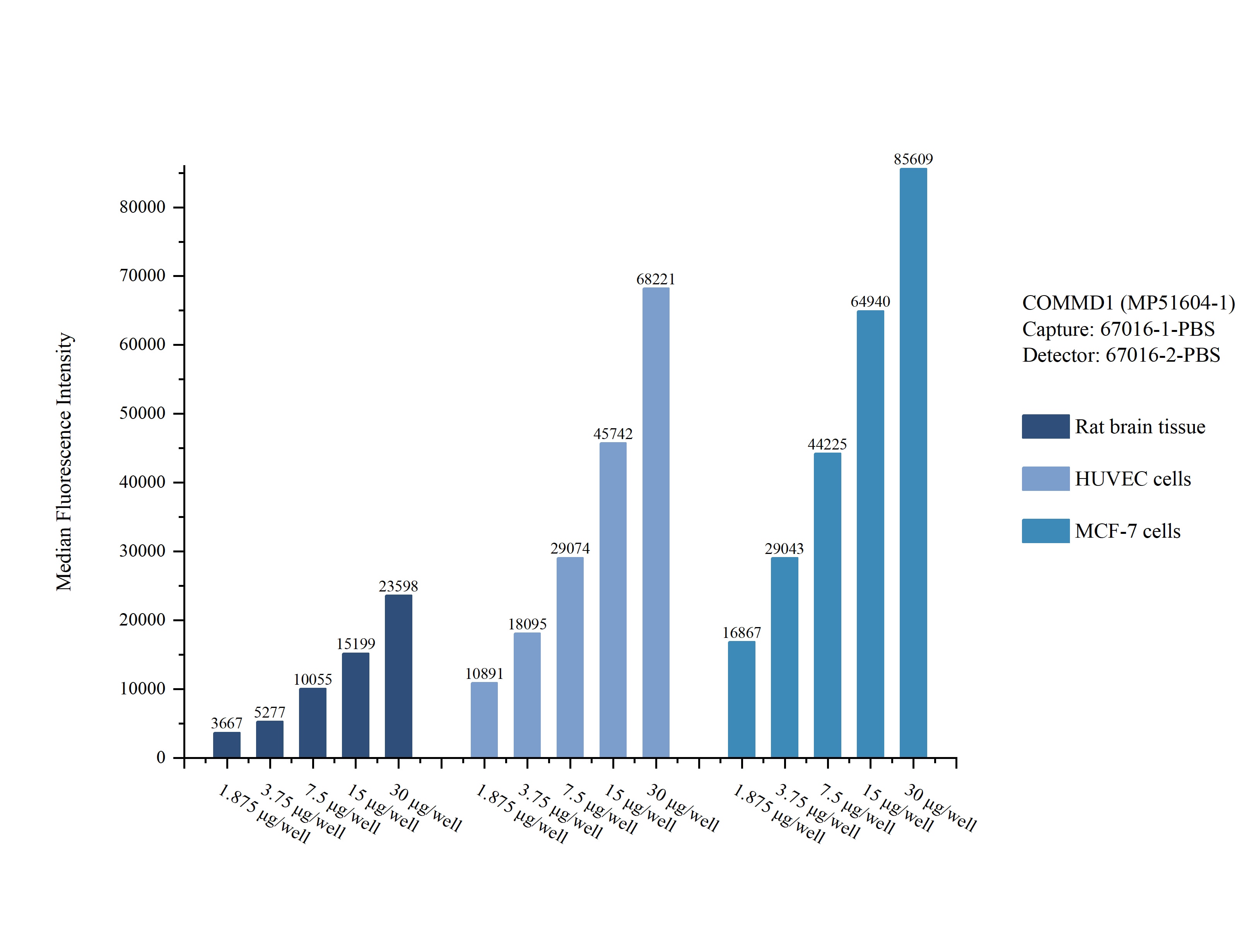Cytometric bead array sample test of MP51604-1