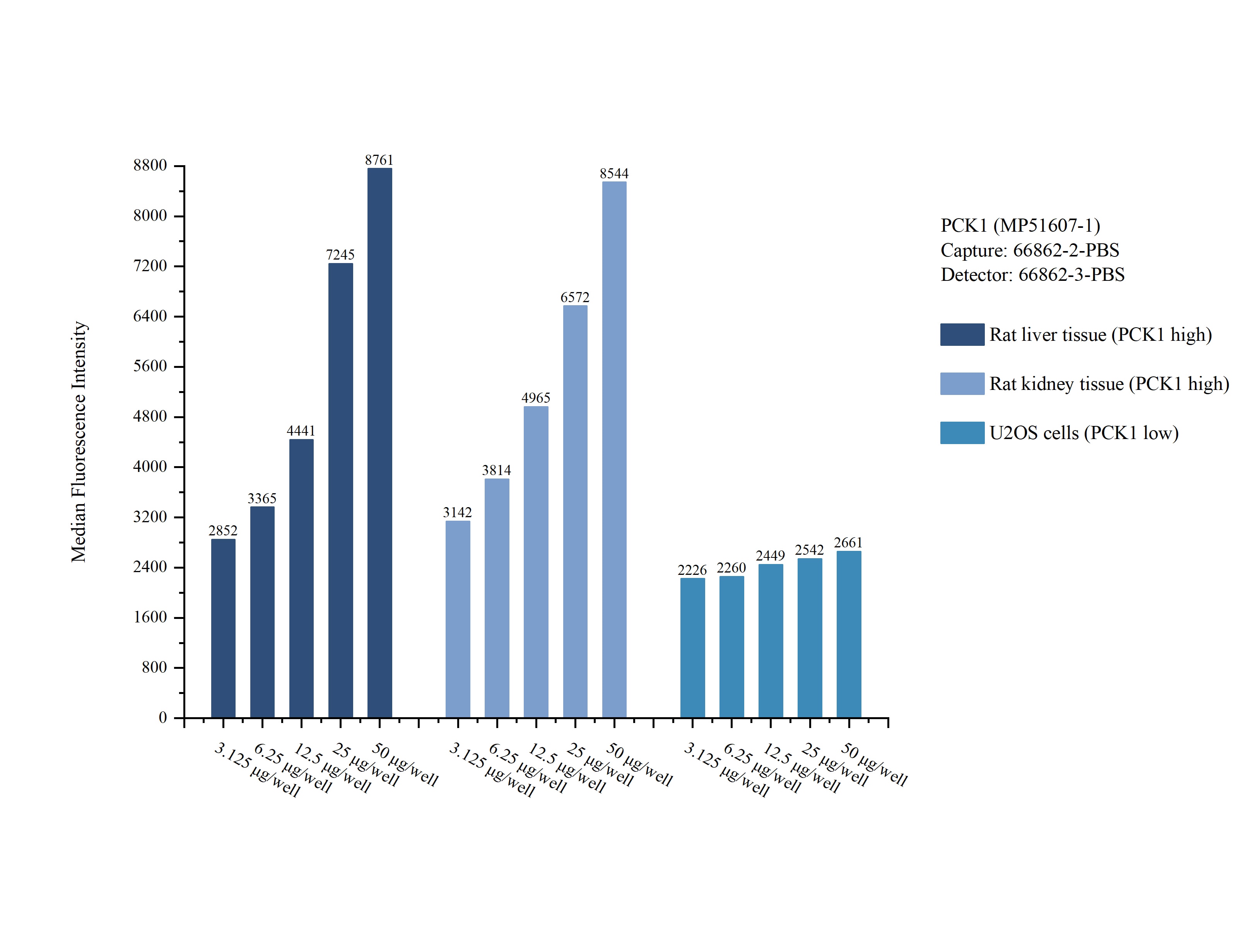 Cytometric bead array sample test of MP51607-1, PCK1 Monoclonal Matched Antibody Pair, PBS Only. Capture antibody: 66862-2-PBS. Detection antibody: 66862-3-PBS.