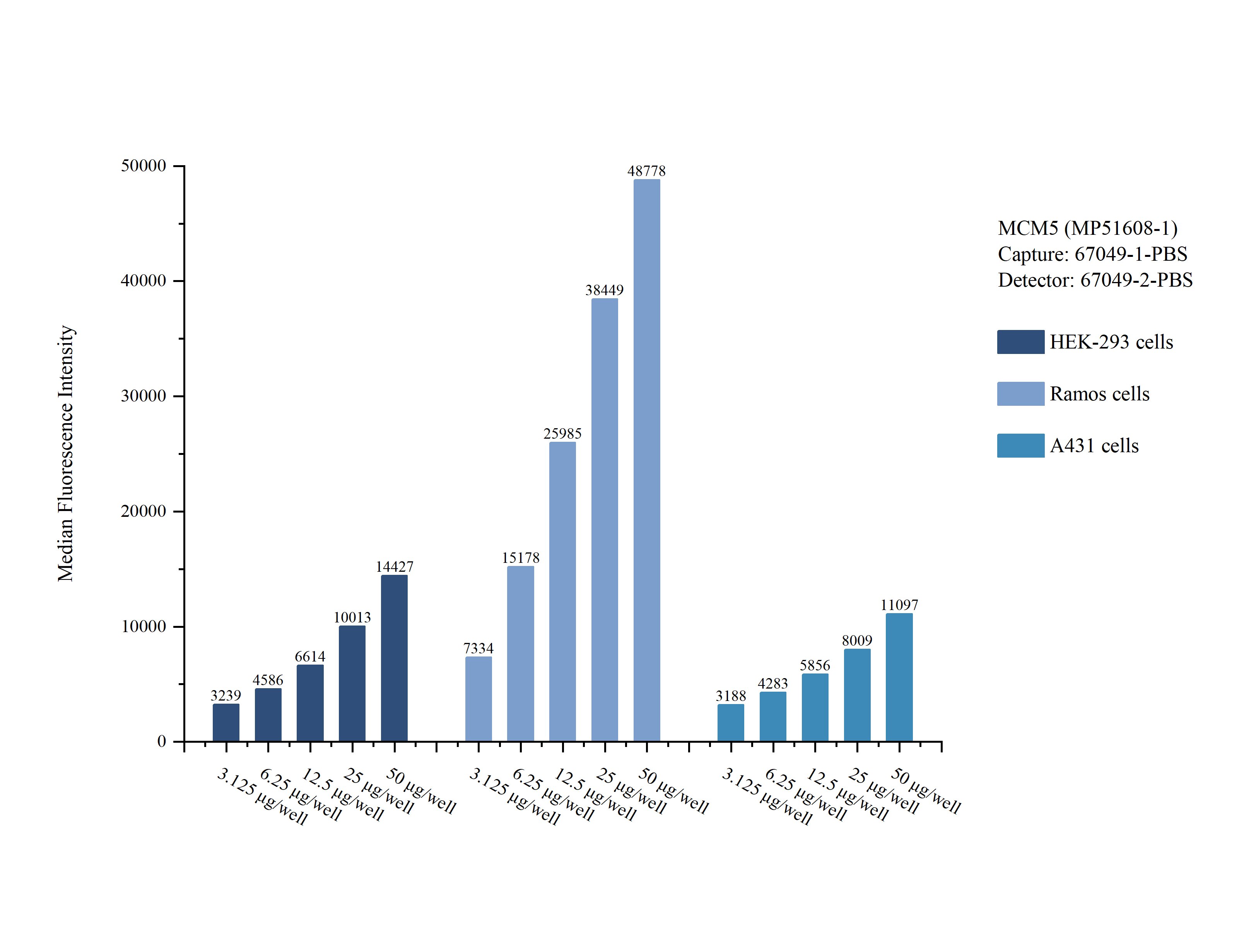 Cytometric bead array sample test of MP51608-1