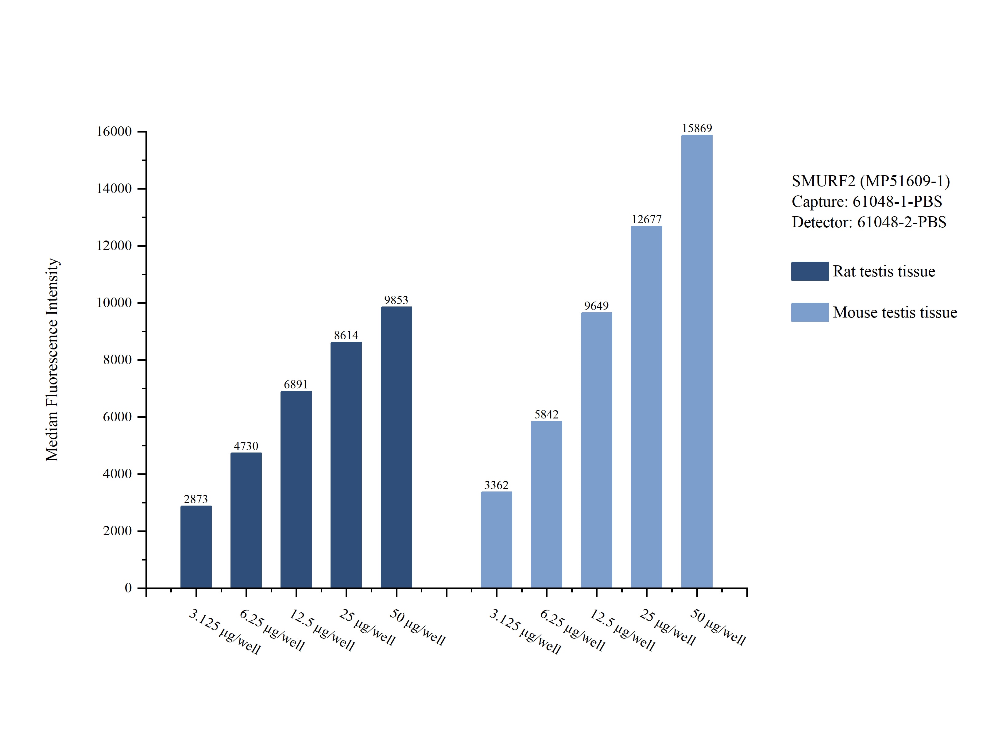 Cytometric bead array sample test of MP51609-1 Cytometric bead array sample test of MP51609-1