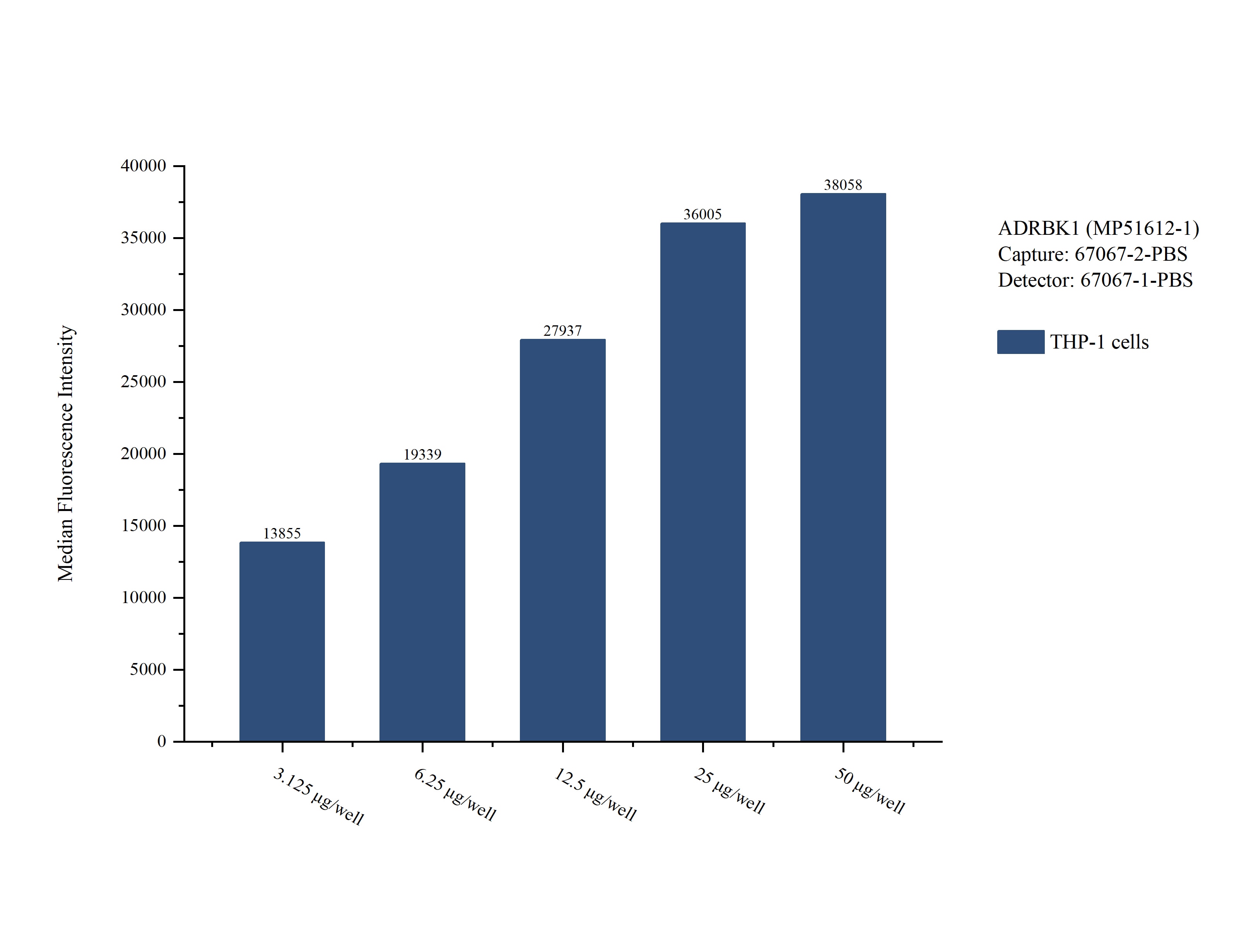 Cytometric bead array sample test of MP51612-1