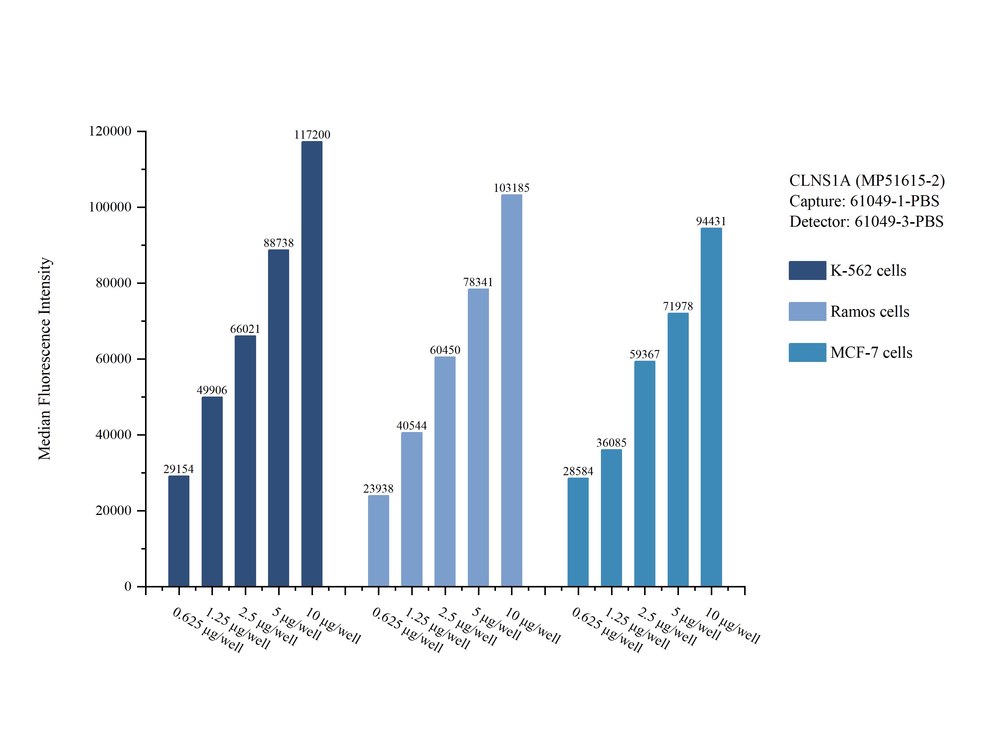 Cytometric bead array sample test of MP51615-2