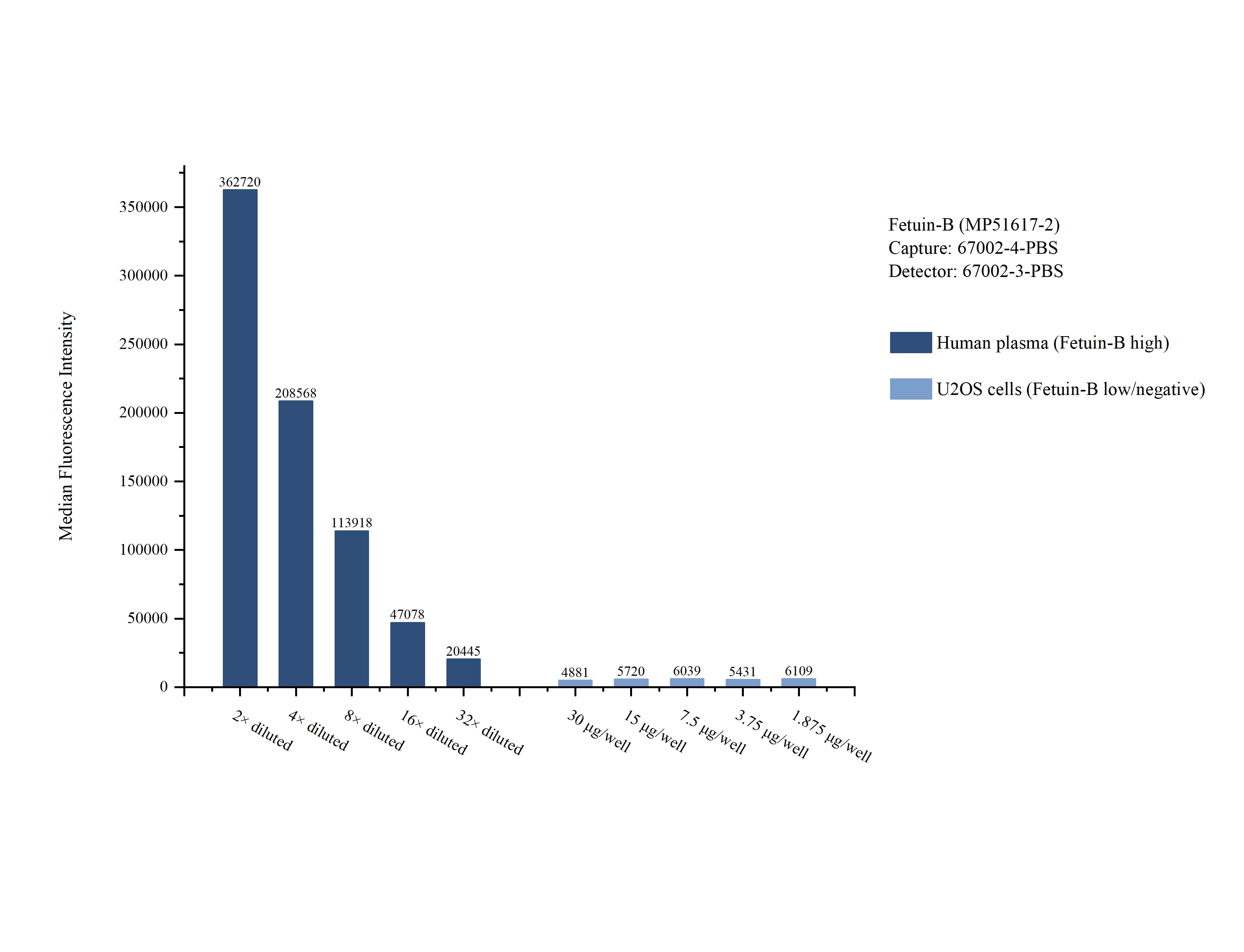Cytometric bead array sample test of MP51617-2