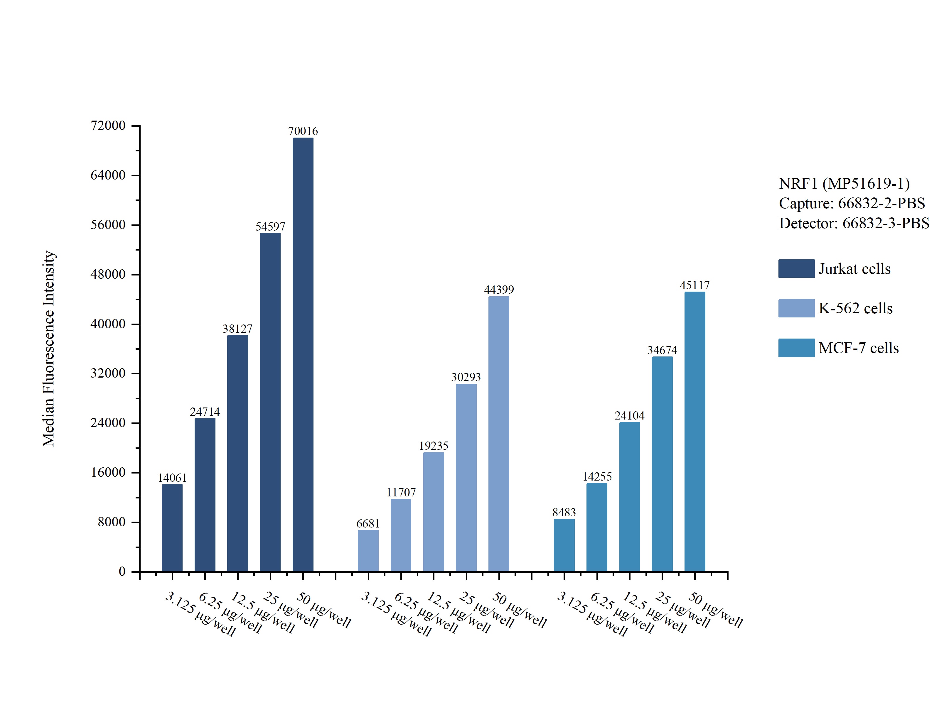 Cytometric bead array sample test of MP51619-1