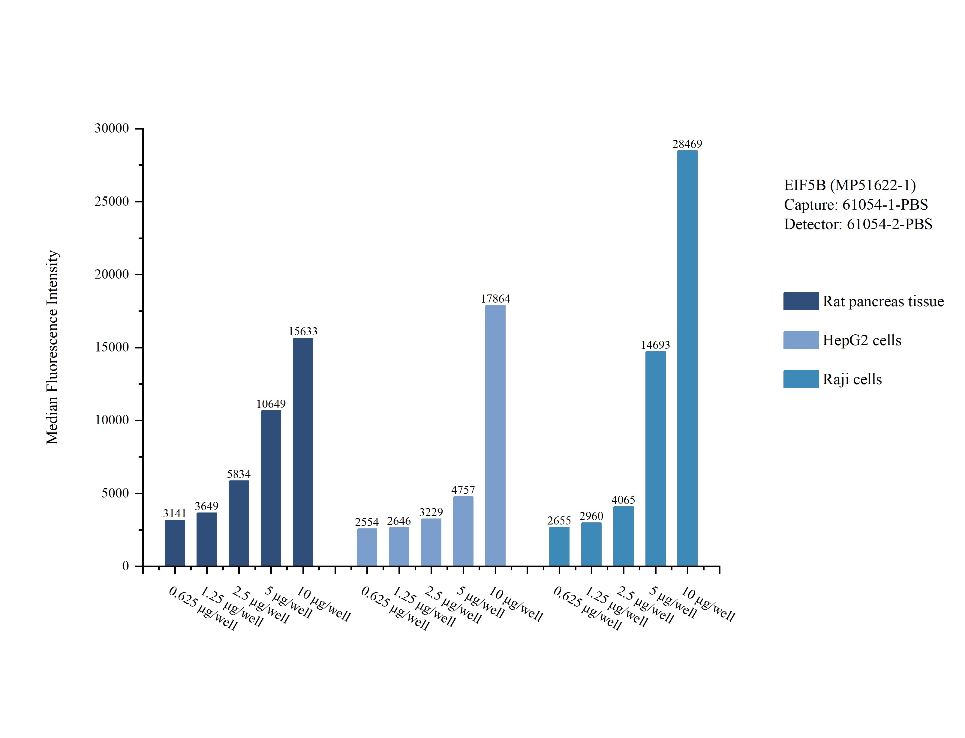 Cytometric bead array sample test of MP51622-1, EIF5B Monoclonal Matched Antibody Pair, PBS Only. Capture antibody: 61054-1-PBS. Detection antibody: 61054-2-PBS. Cytometric bead array sample test of MP51622-1, EIF5B Monoclonal Matched Antibody Pair, PBS Only. Capture antibody: 61054-1-PBS. Detection antibody: 61054-2-PBS.