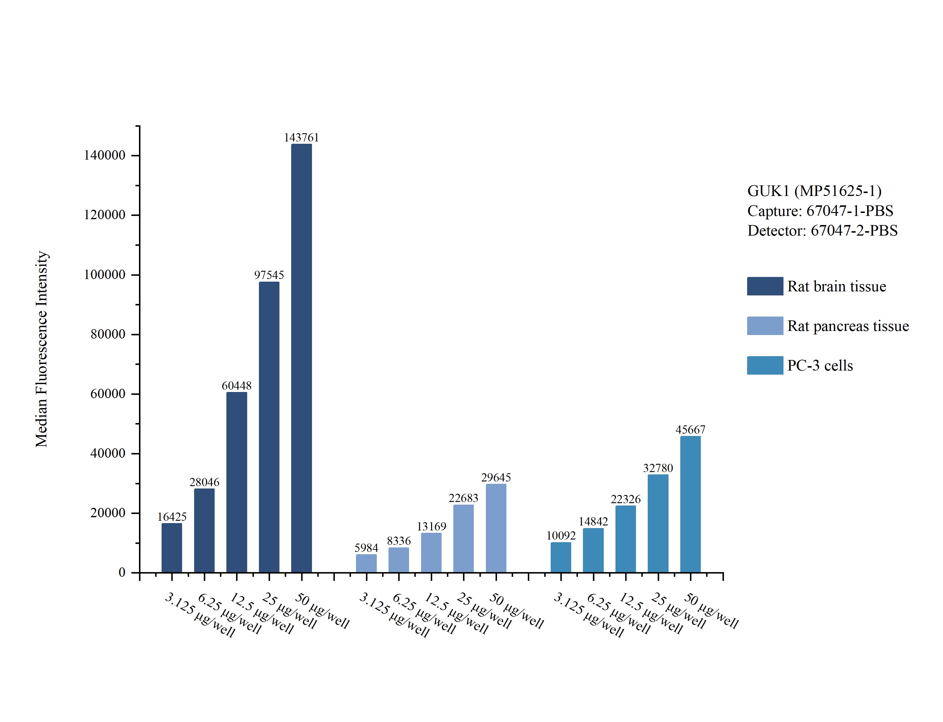 Cytometric bead array sample test of MP51625-1, GUK1 Monoclonal Matched Antibody Pair, PBS Only. Capture antibody: 67047-1-PBS. Detection antibody: 67047-2-PBS. Cytometric bead array sample test of MP51625-1