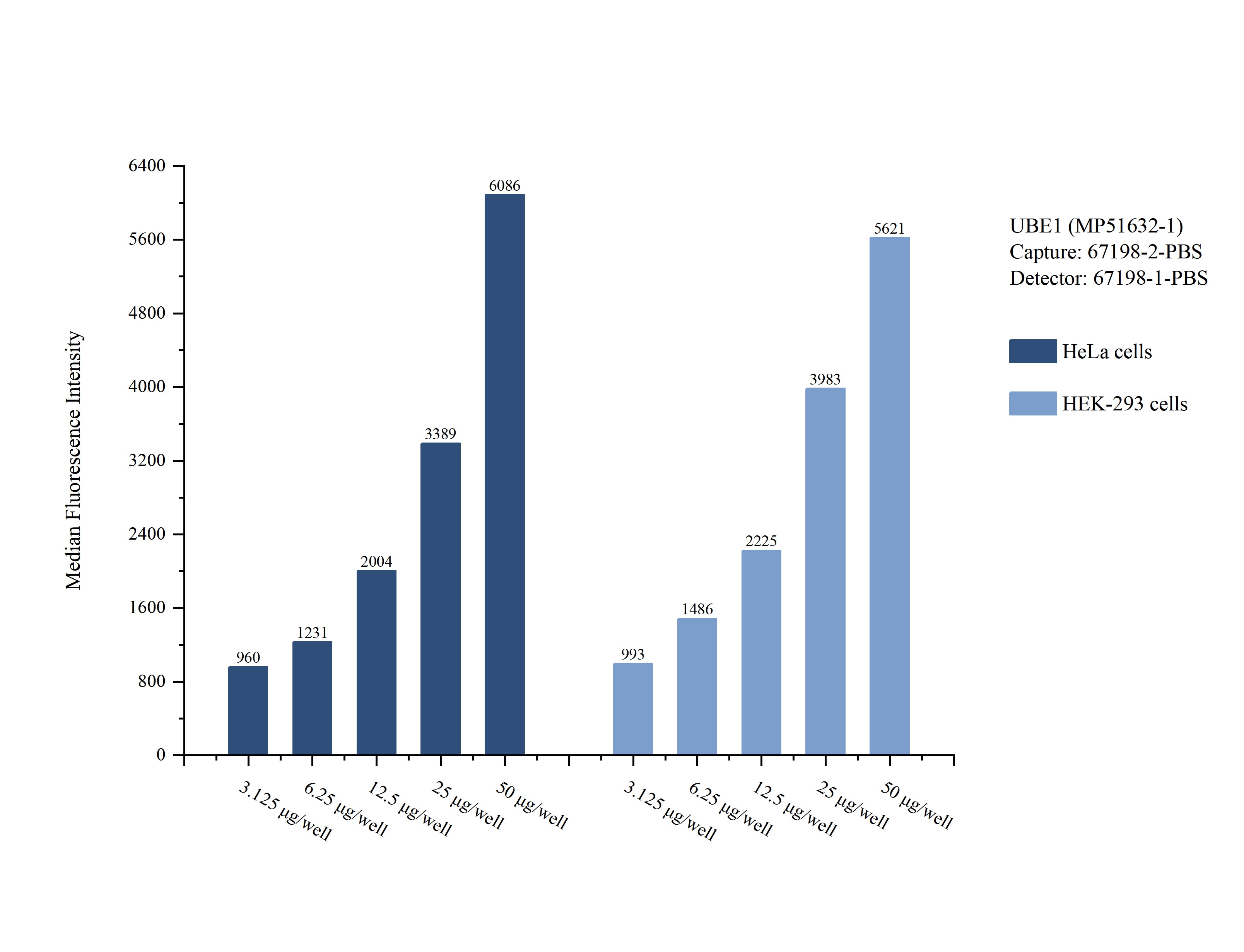 Cytometric bead array sample test of MP51632-1, UBE1 Monoclonal Matched Antibody Pair, PBS Only. Capture antibody: 67198-2-PBS. Detection antibody: 67198-1-PBS. Cytometric bead array sample test of MP51632-1